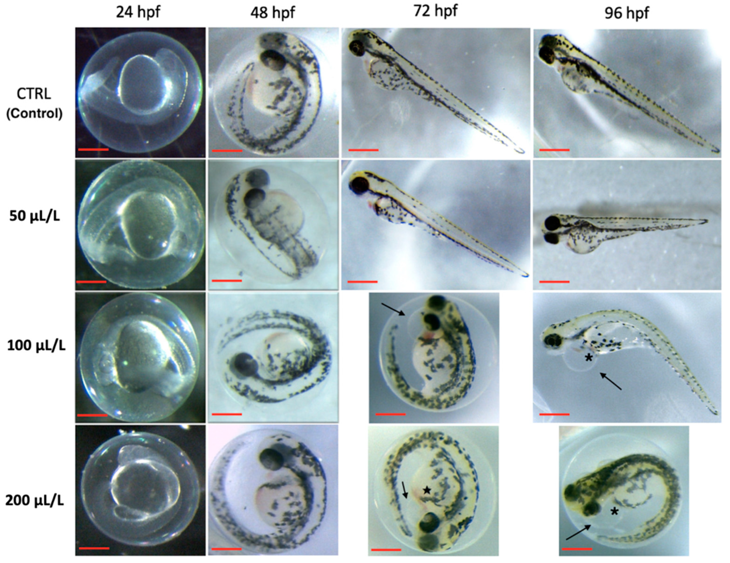 Fishes 07 00318 g001