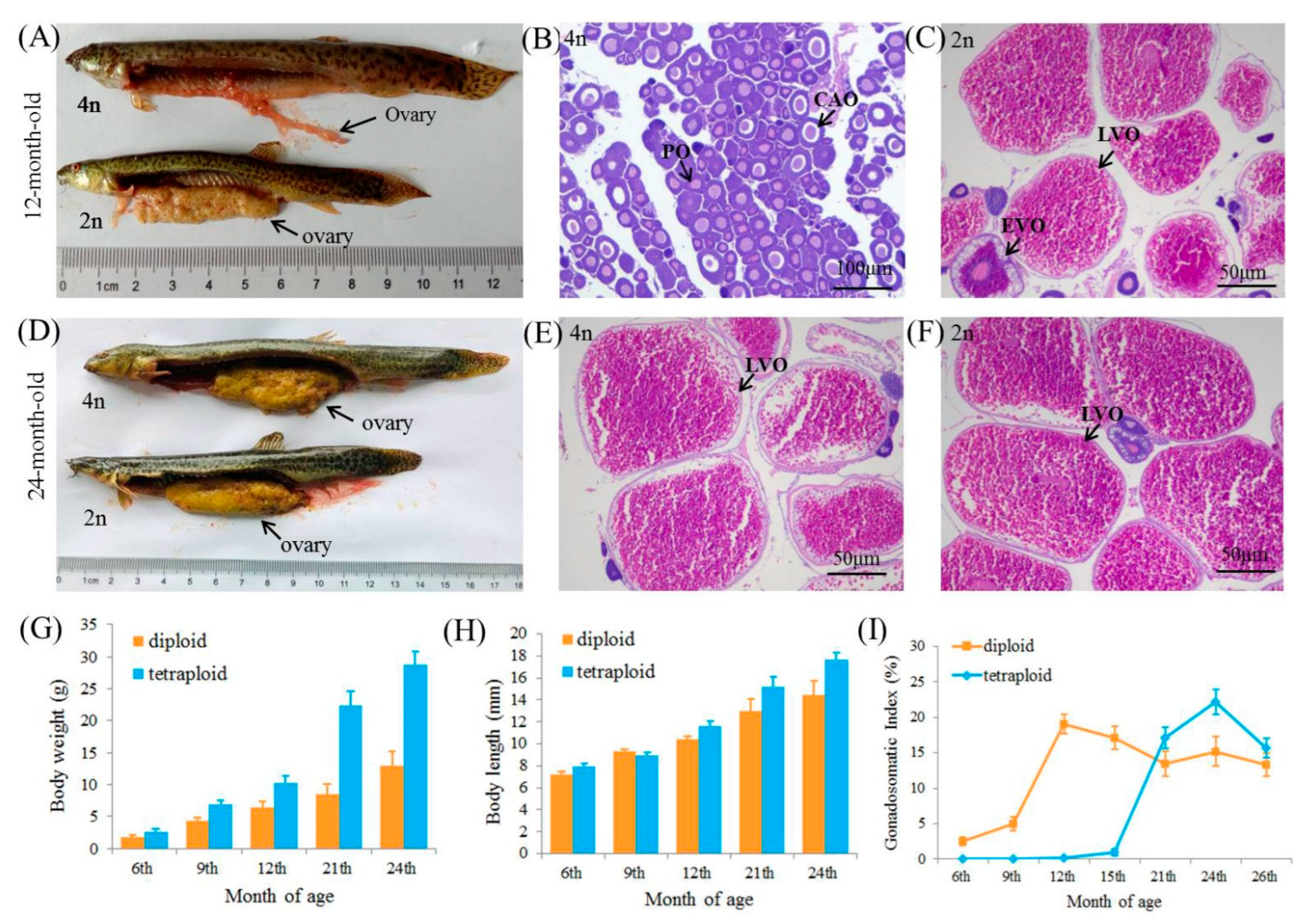 Fishes 07 00322 g001 Fishes 07 00322 g001