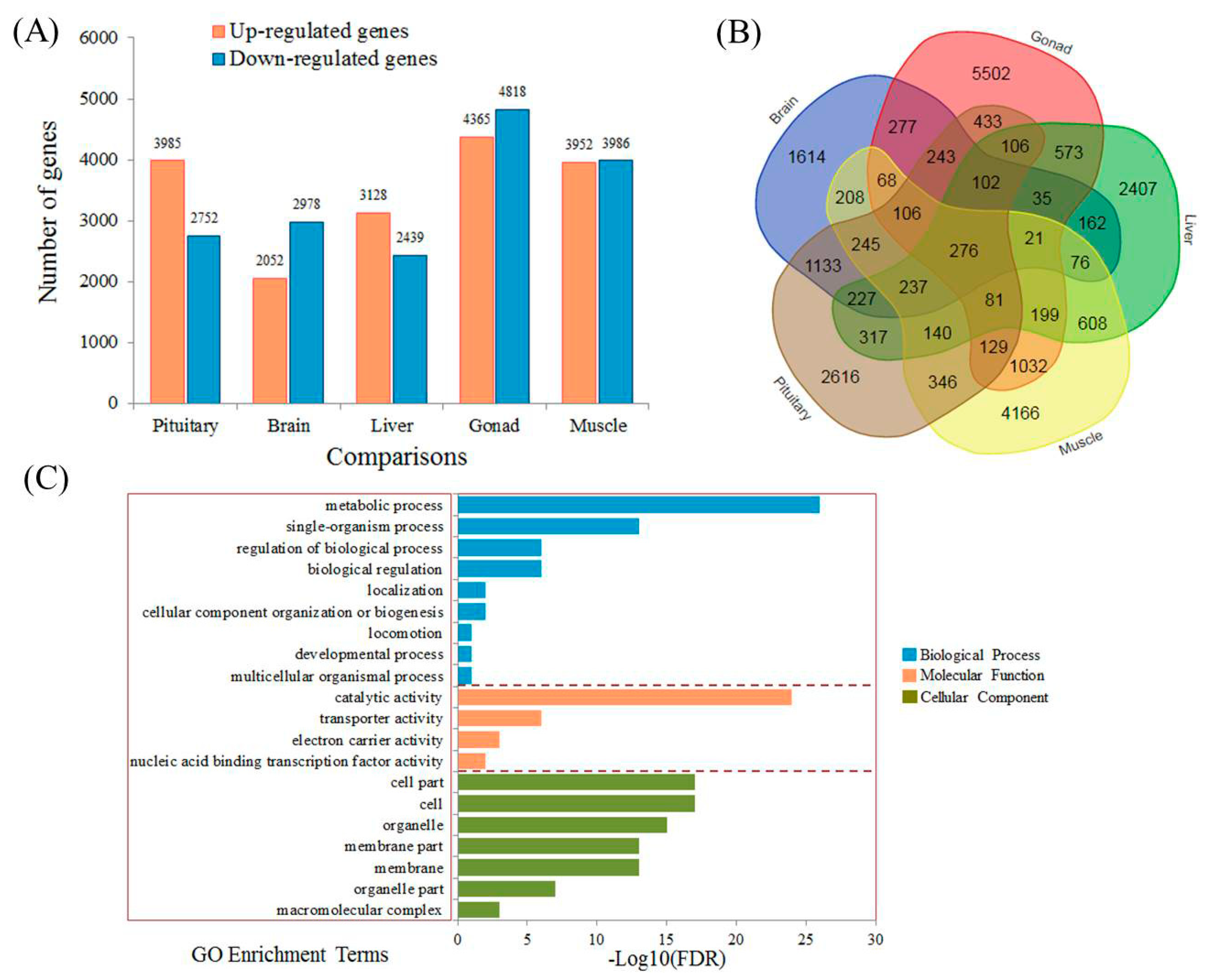 Fishes 07 00322 g002 Fishes 07 00322 g002