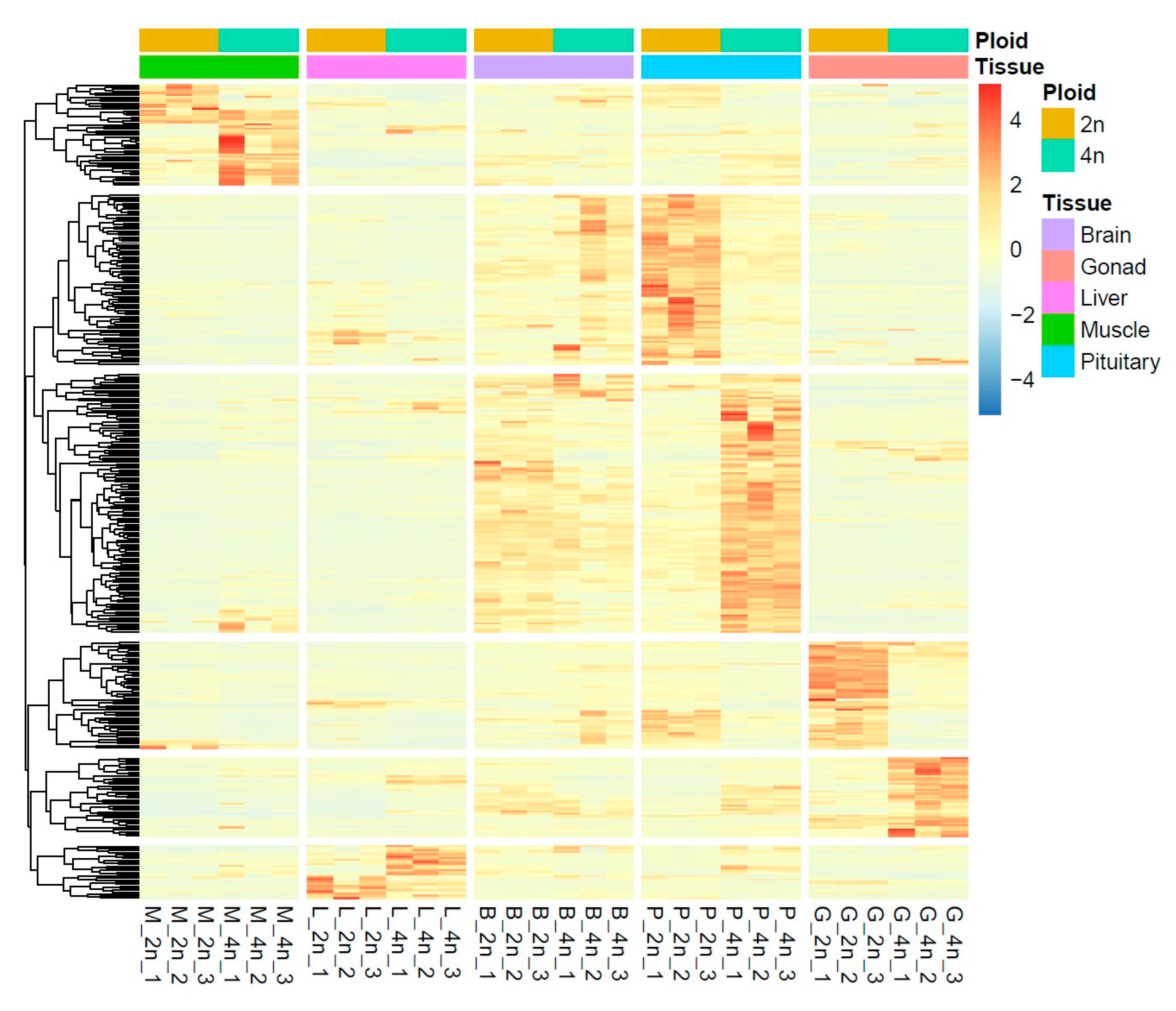 Fishes 07 00322 g004 Fishes 07 00322 g004
