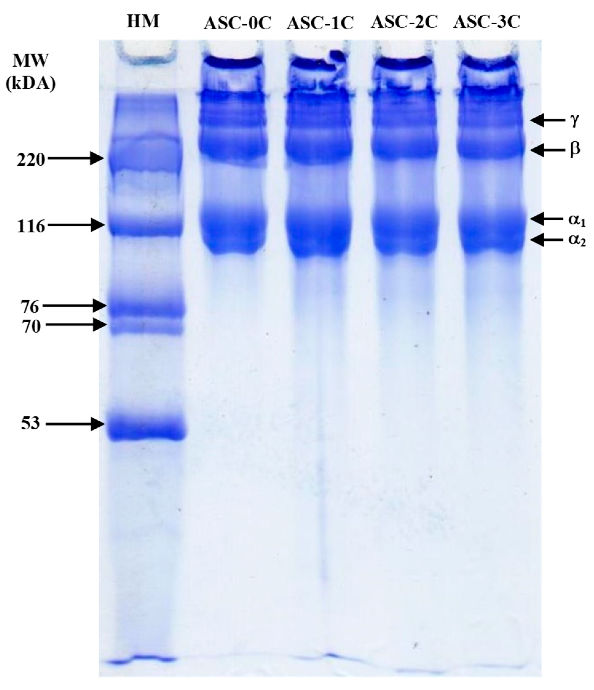 Fishes 07 00330 g003