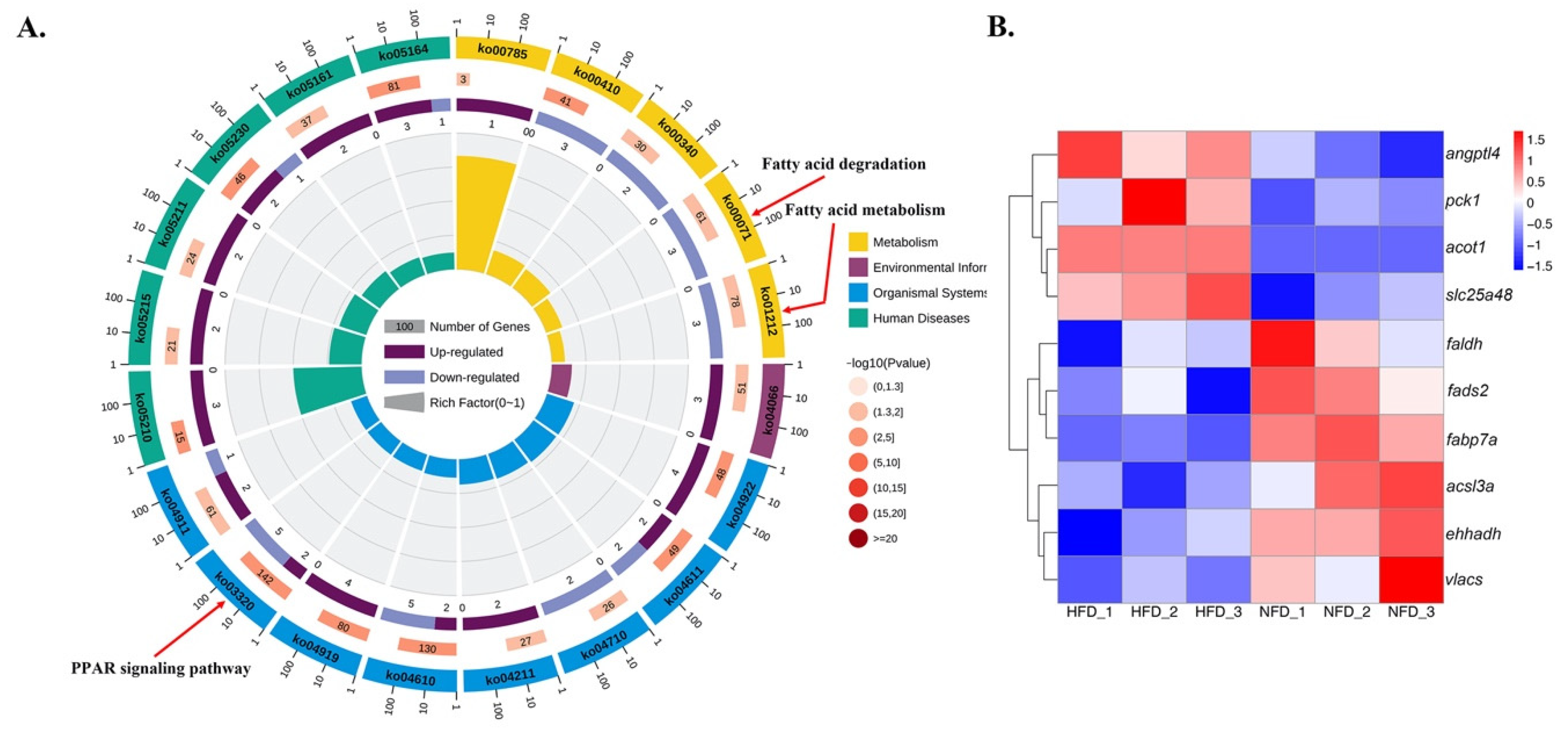Fishes 07 00332 g005