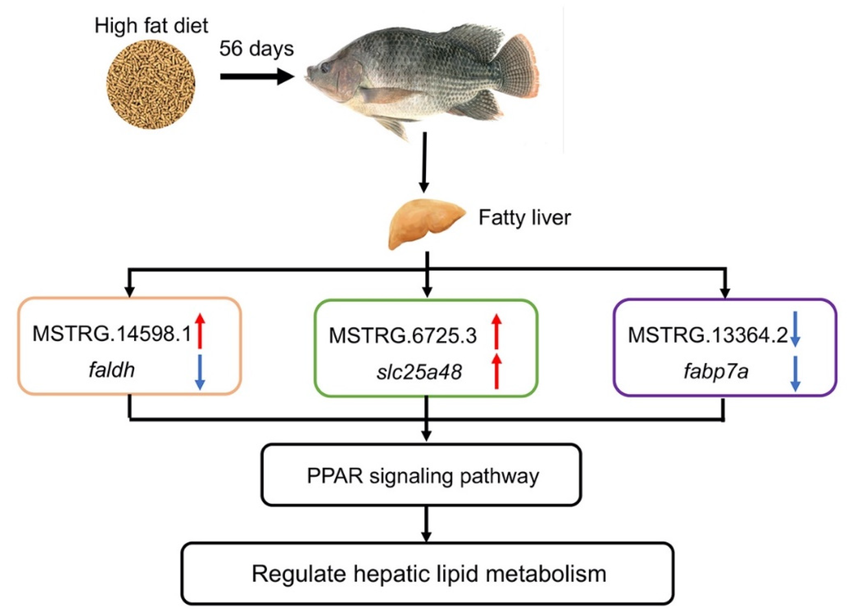 Fishes 07 00332 g008