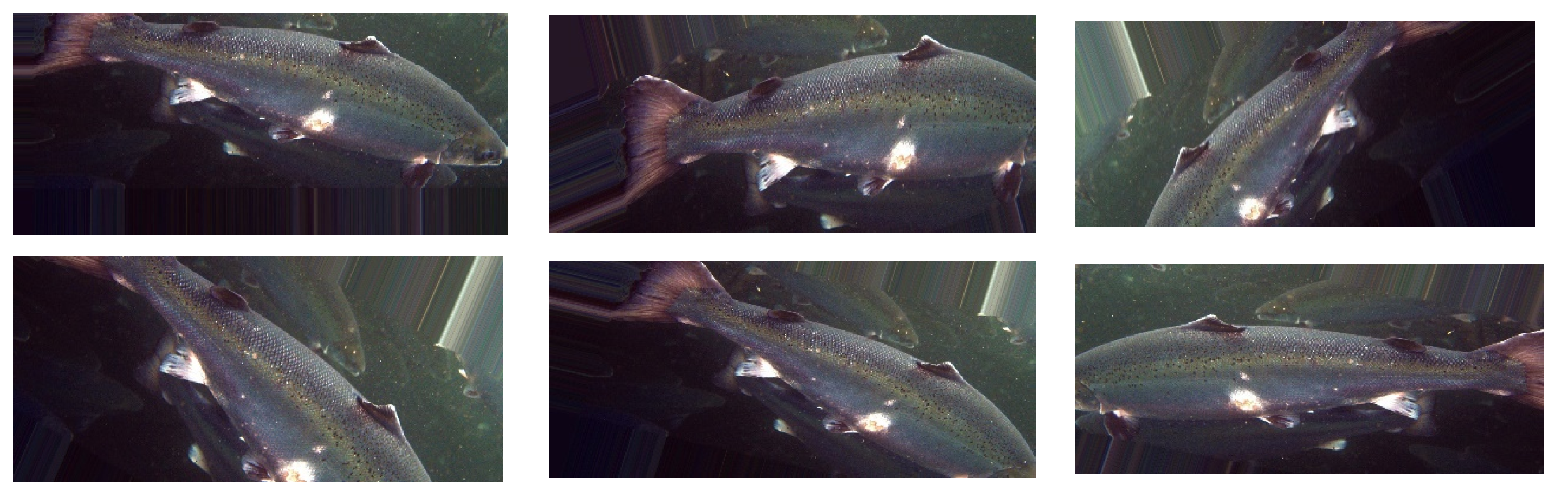 Fishes 07 00345 g002b