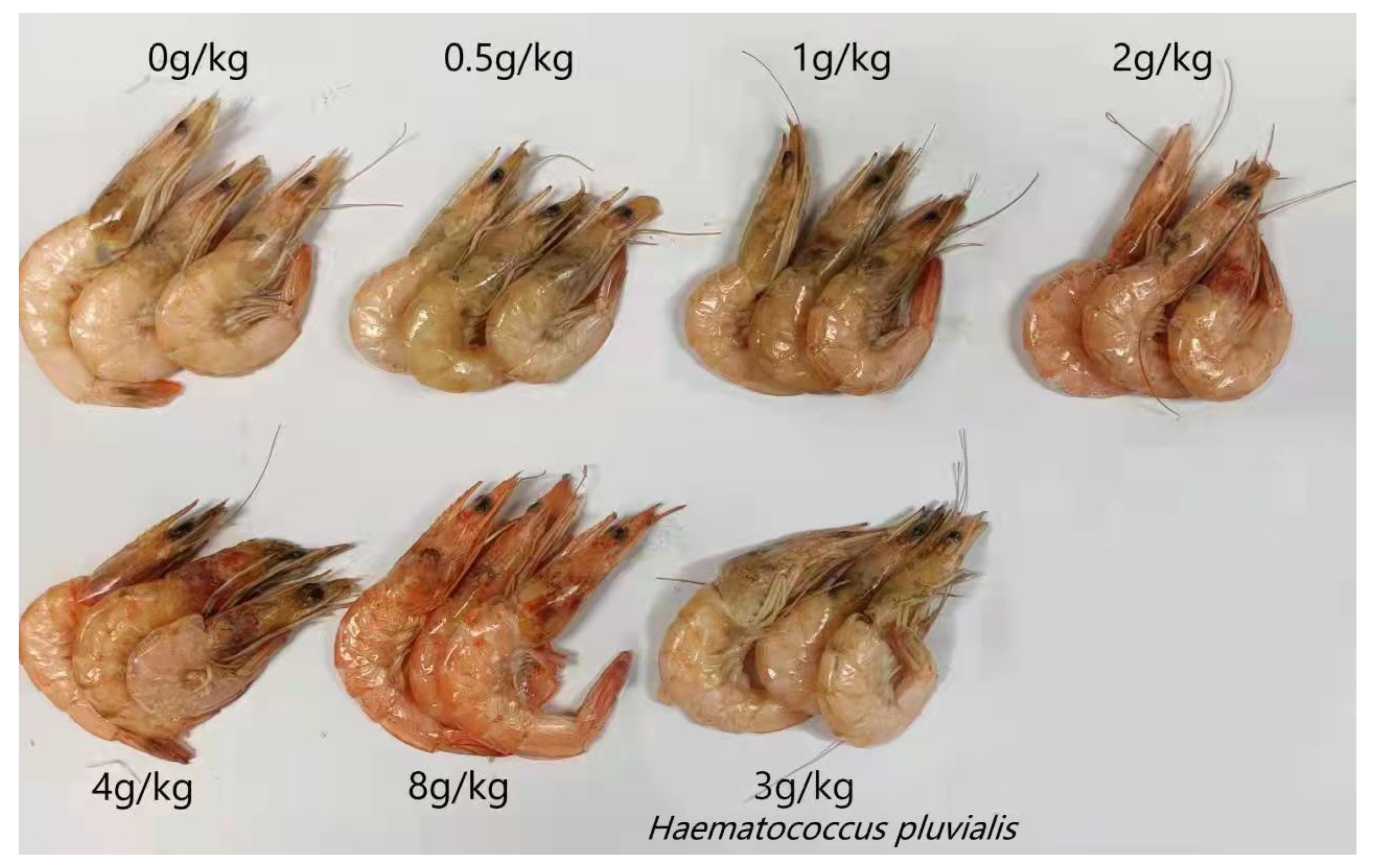 Fishes 07 00352 g004