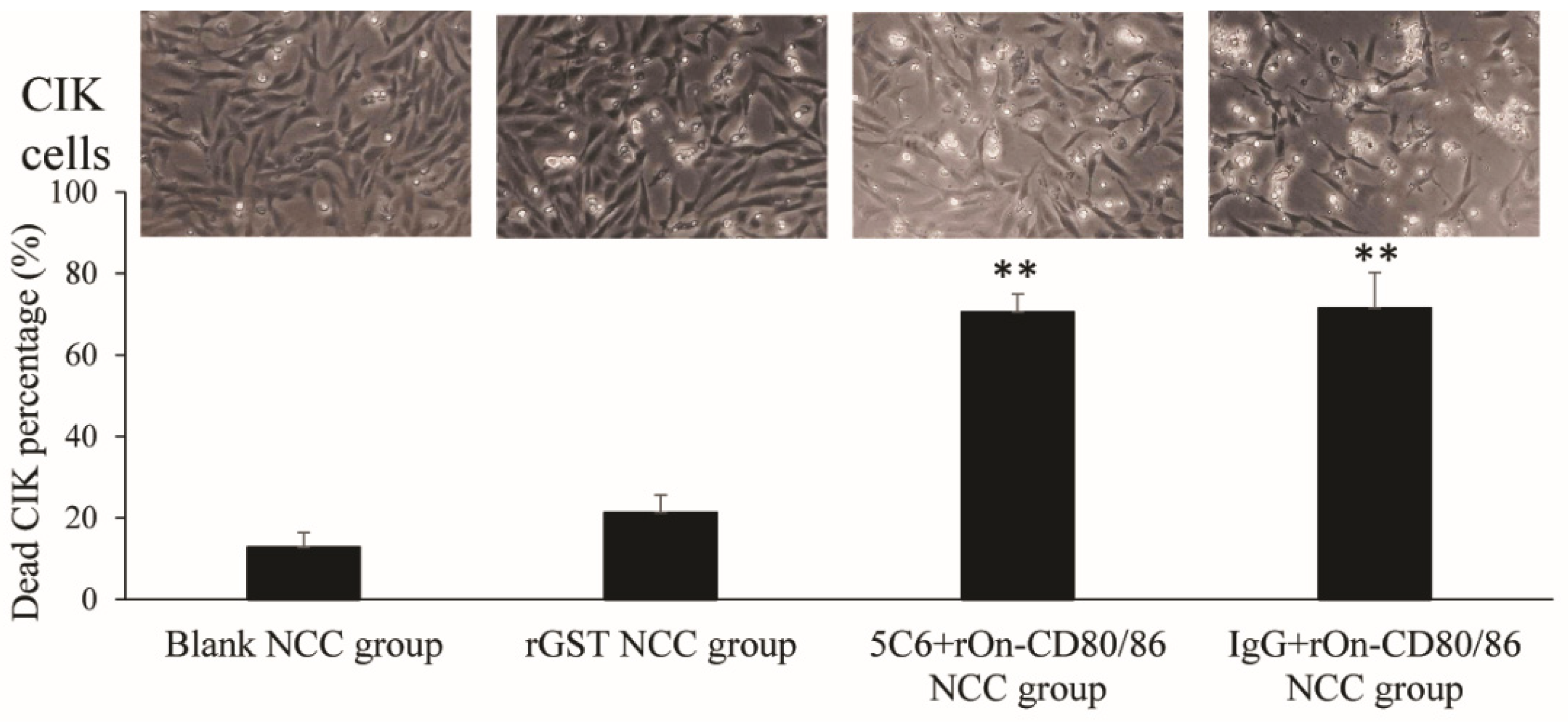 Fishes 07 00353 g003 Fishes 07 00353 g003