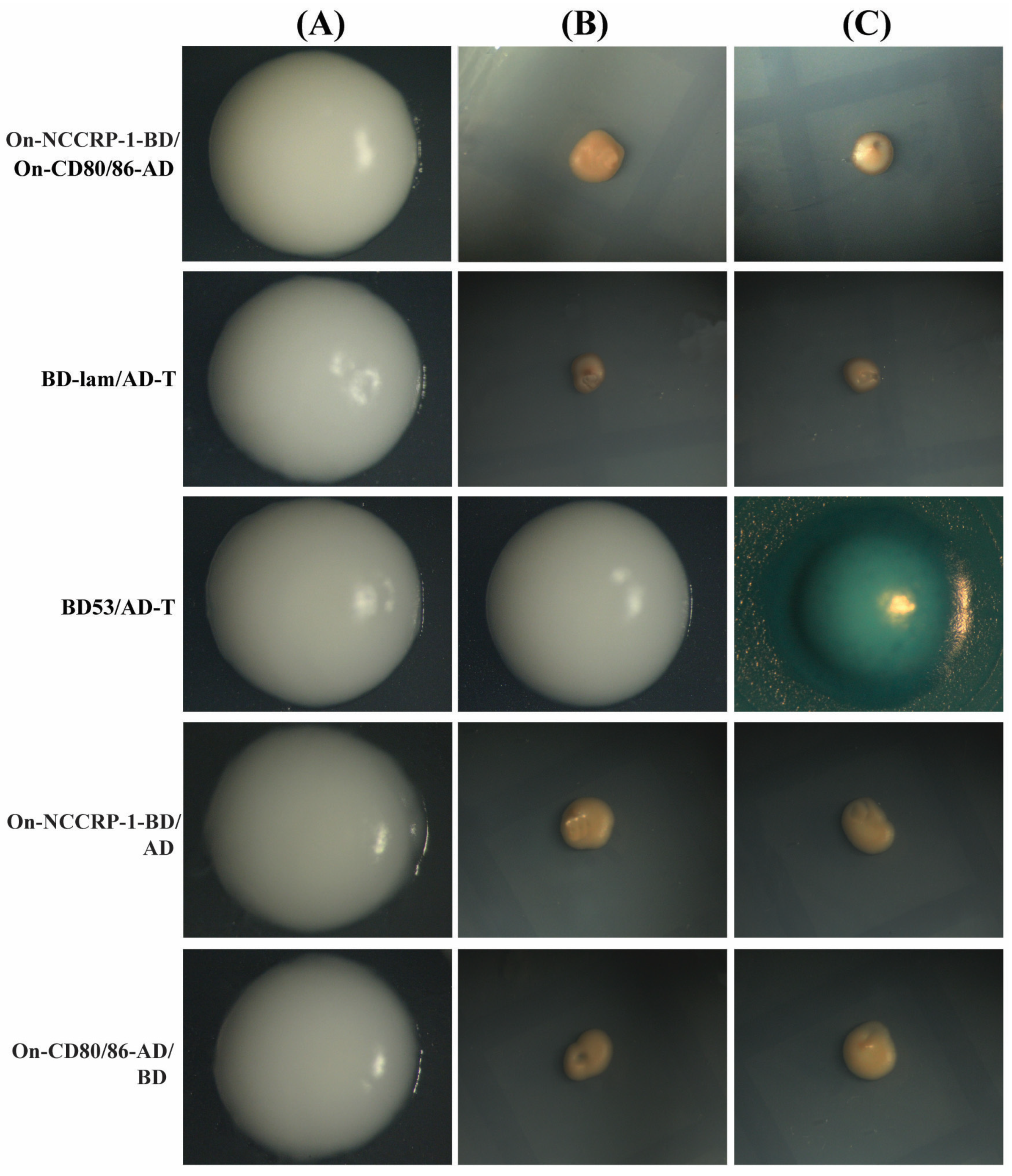 Fishes 07 00353 g005 Fishes 07 00353 g005