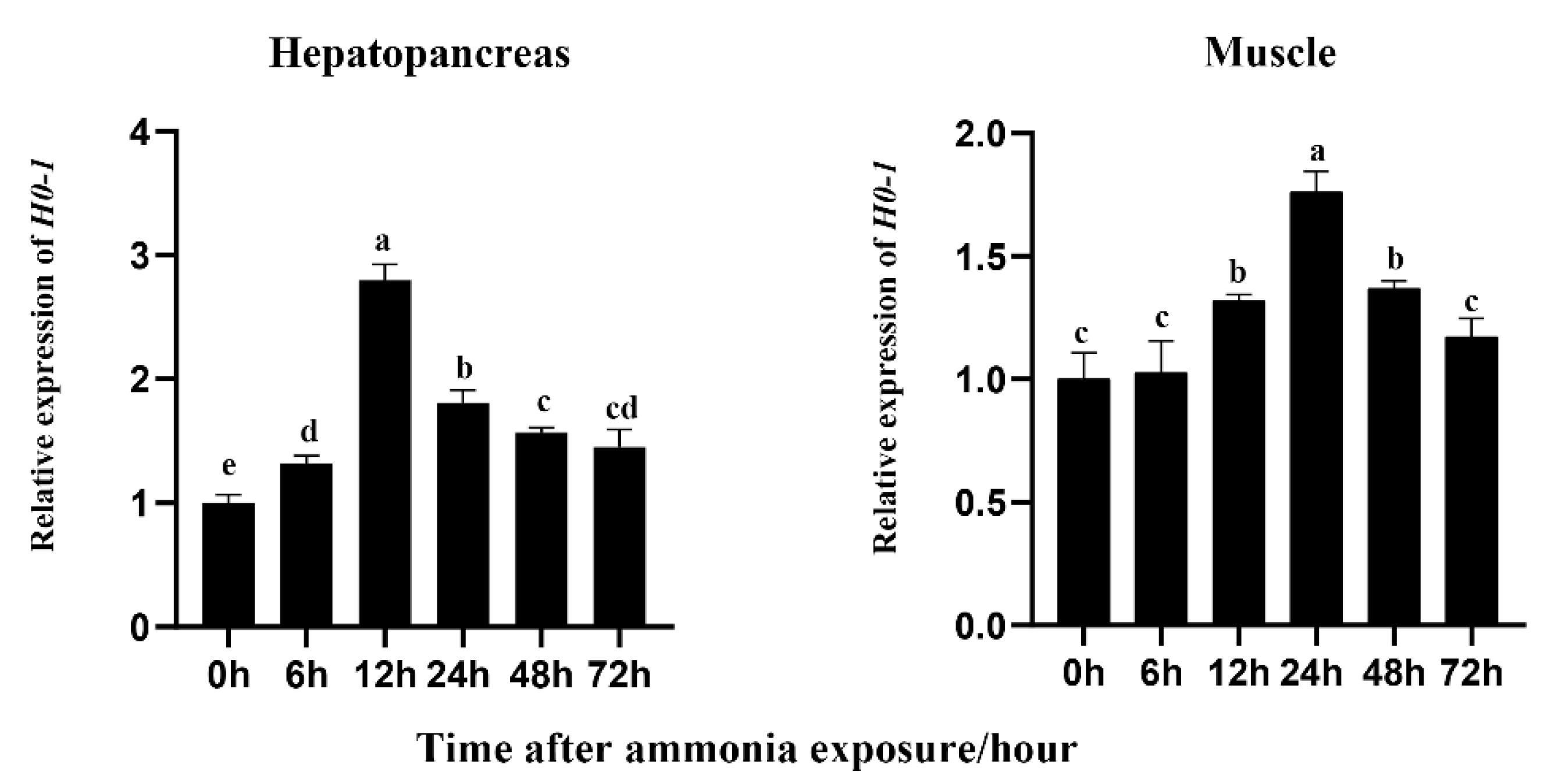 Fishes 07 00356 g003