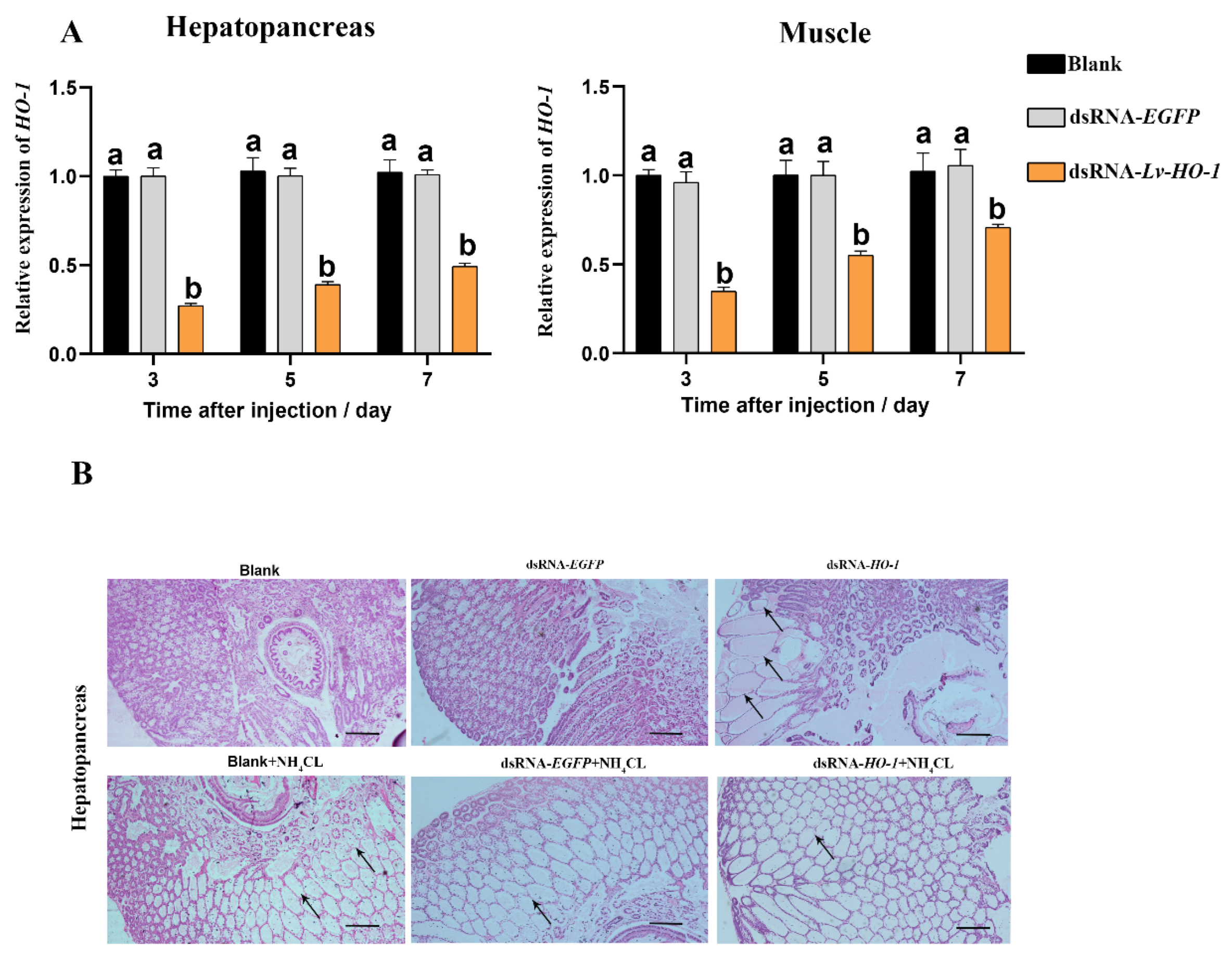 Fishes 07 00356 g004