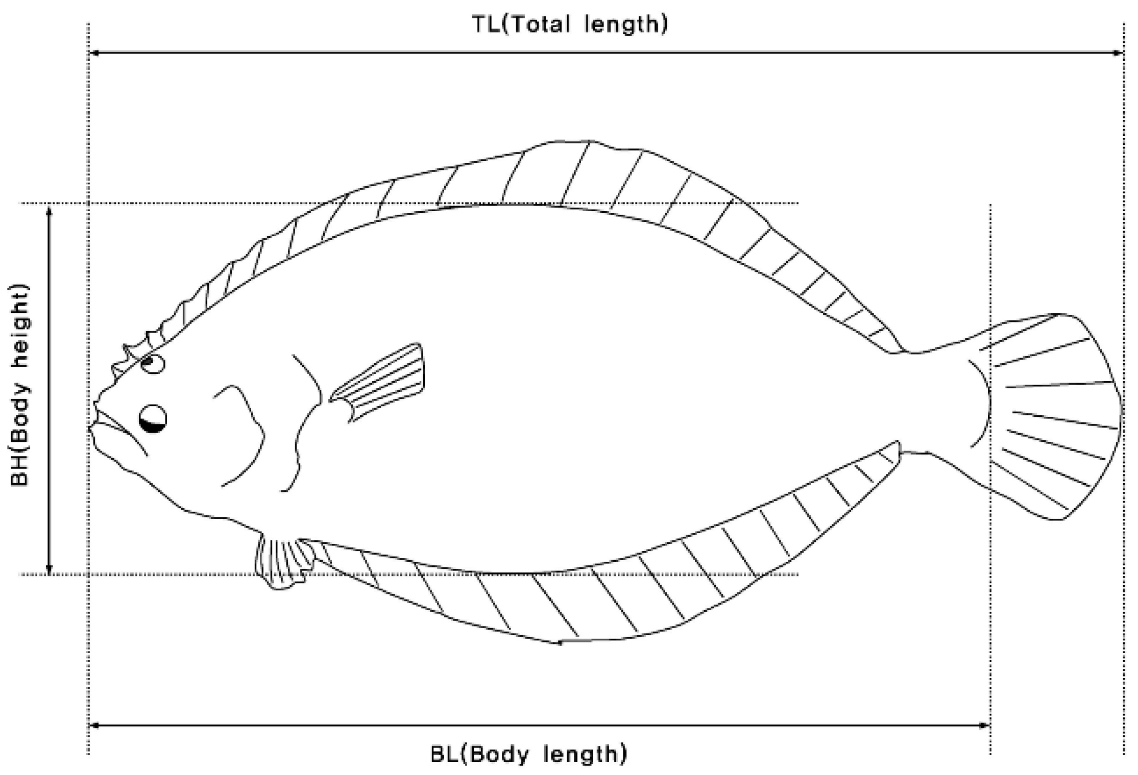 Fishes 07 00357 g002