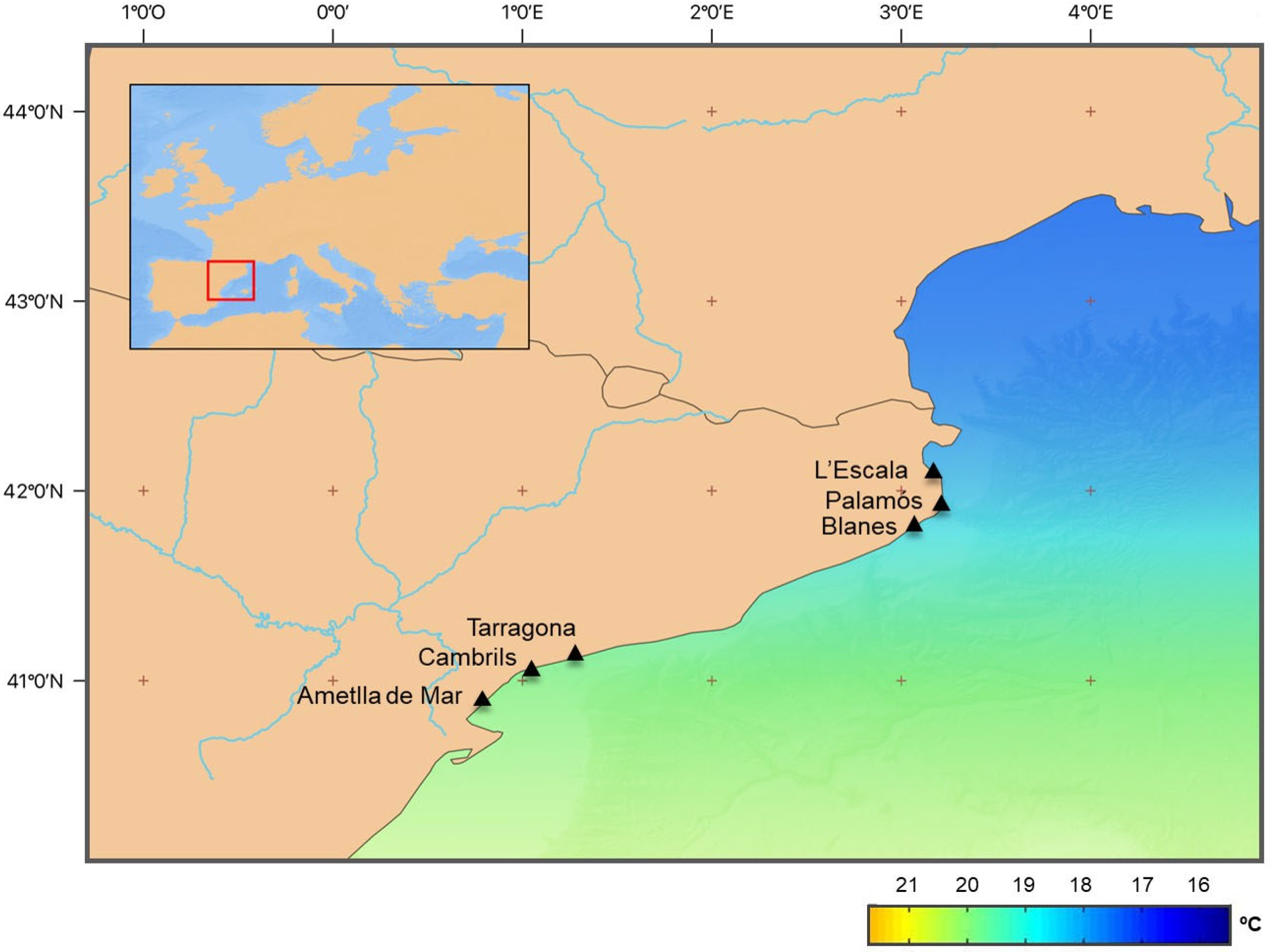 Fishes 07 00358 g001