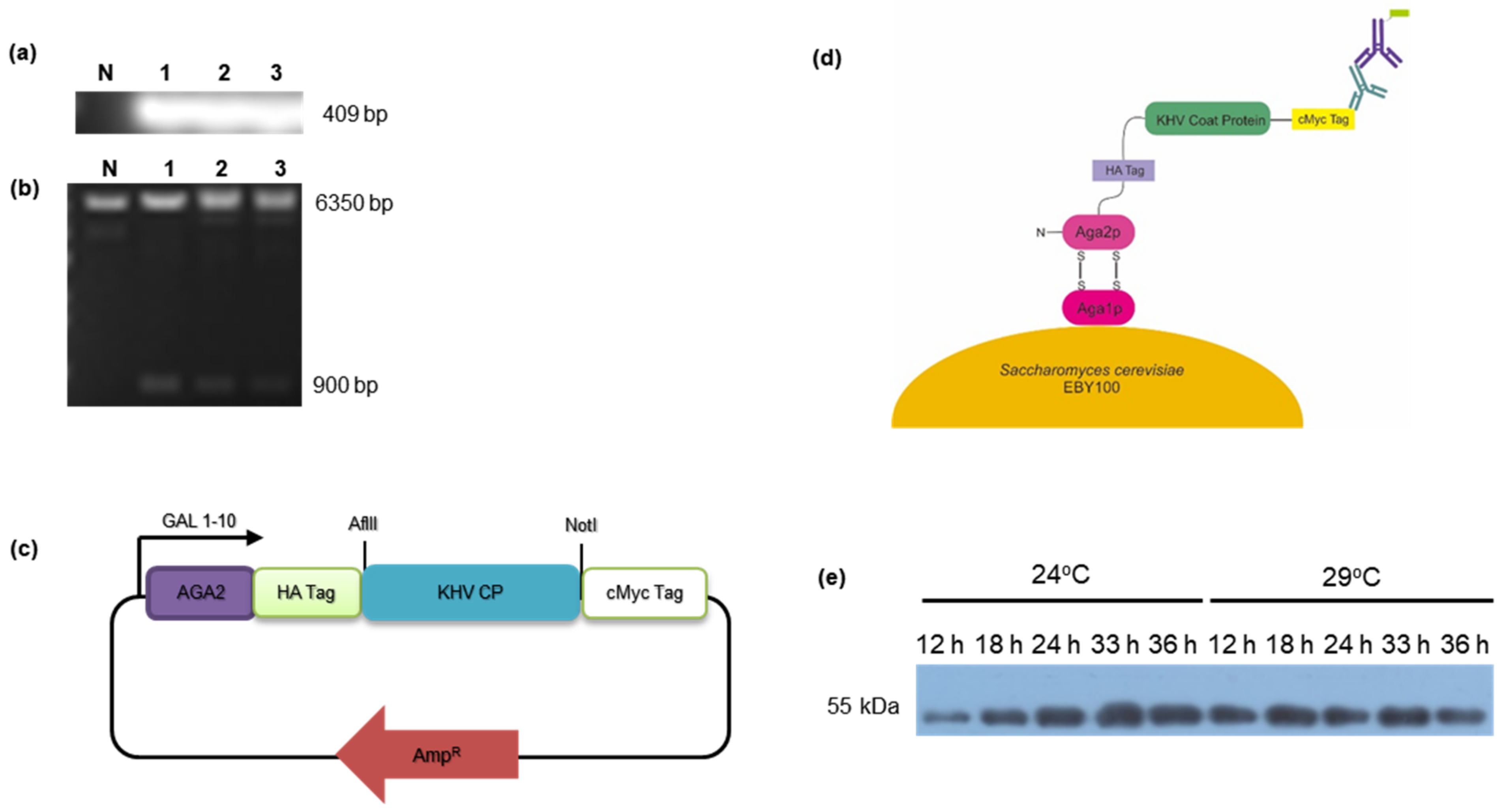 Fishes 07 00370 g001