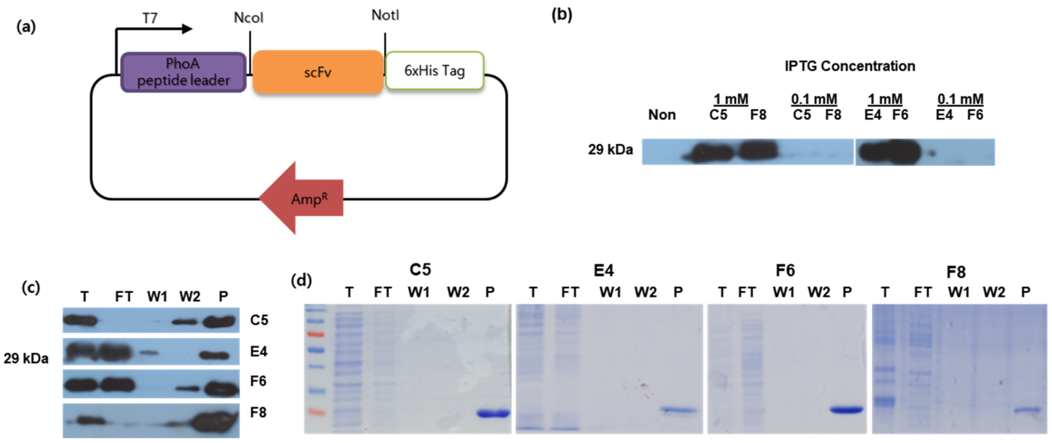 Fishes 07 00370 g003