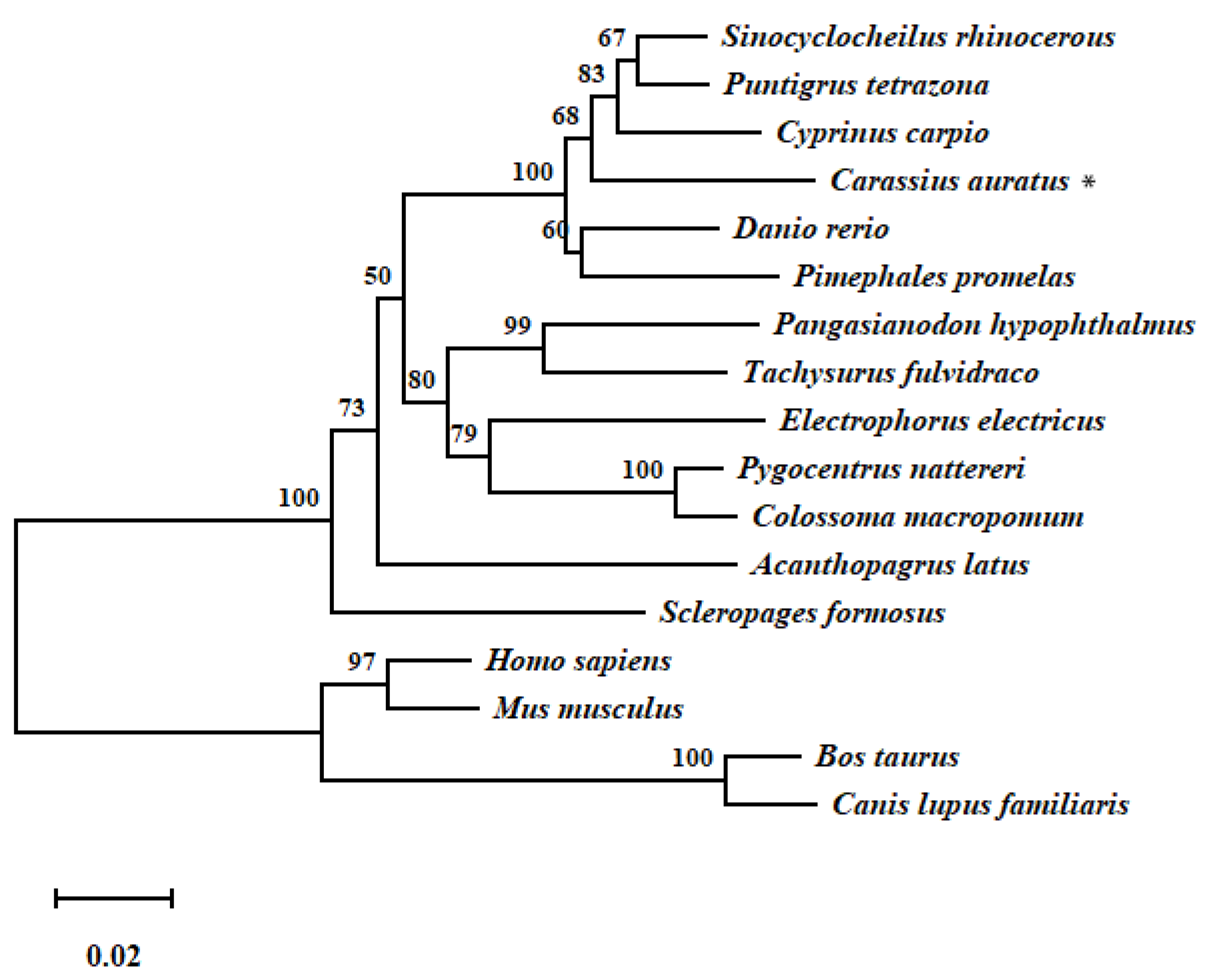 Fishes 07 00377 g002
