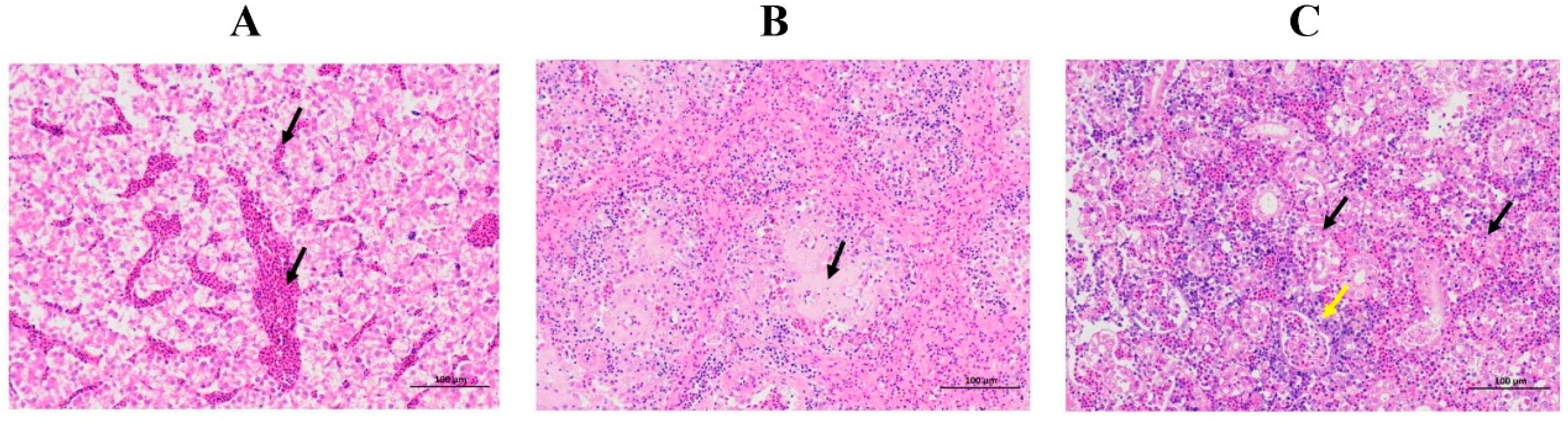 Fishes 07 00394 g002