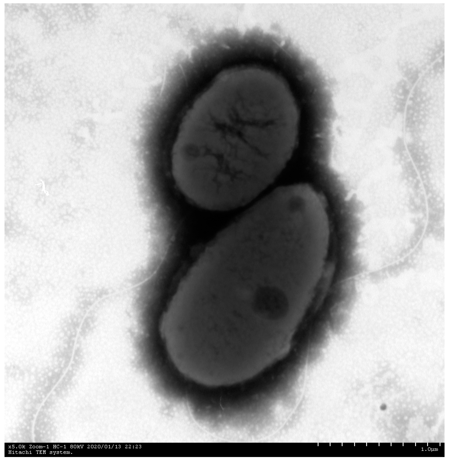 Fishes 07 00394 g003