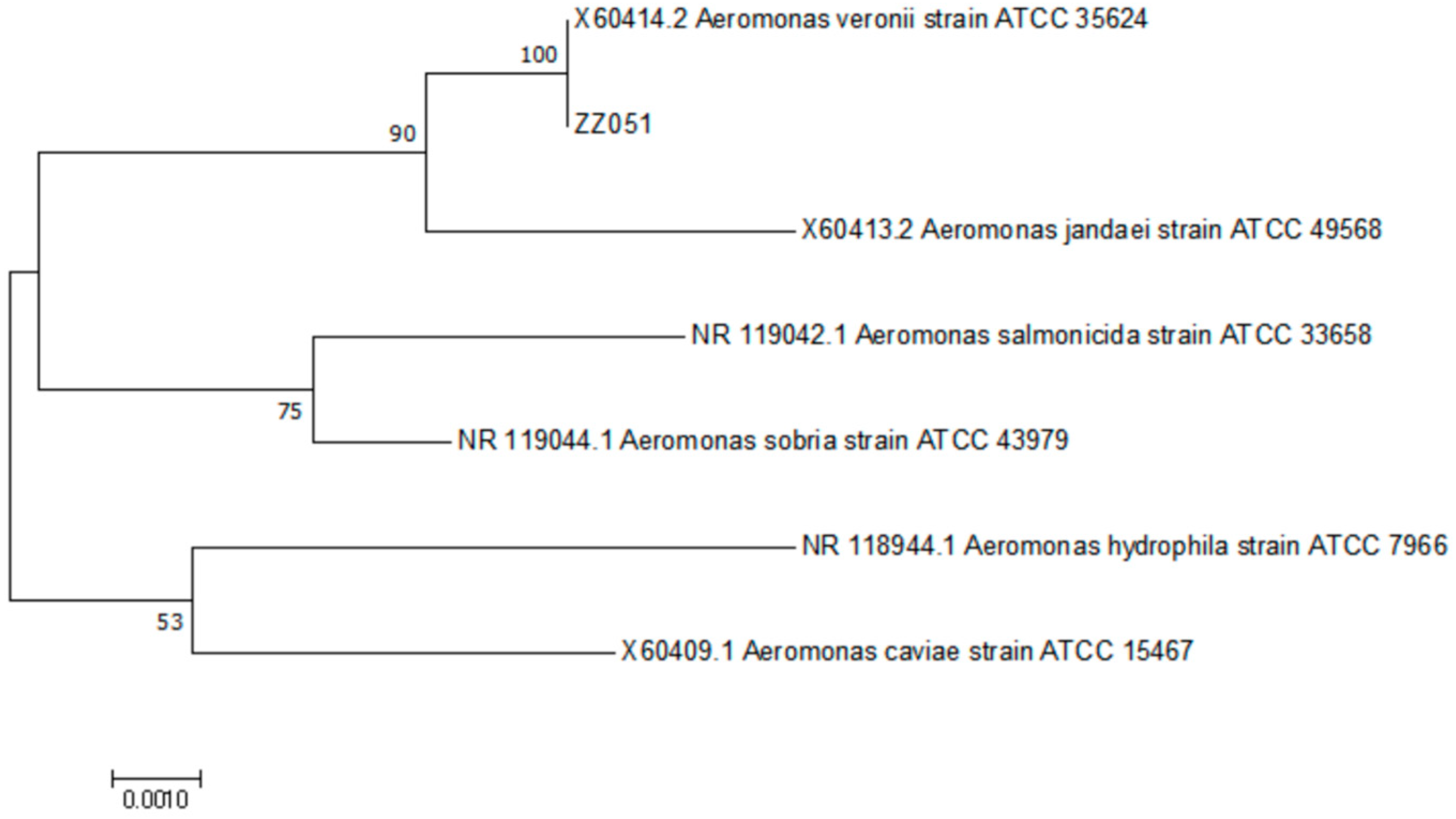Fishes 07 00394 g005