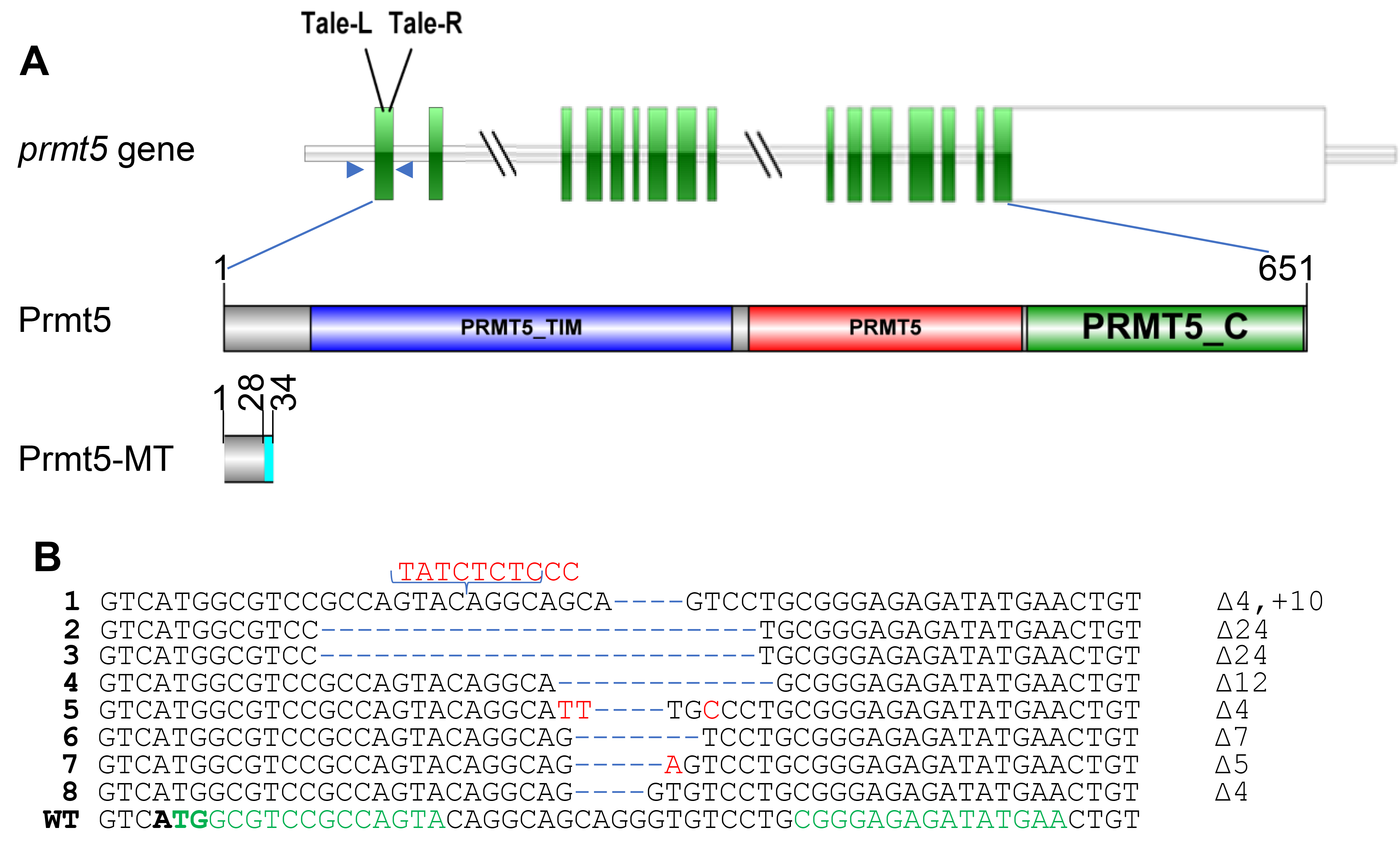 Fishes 08 00019 g001