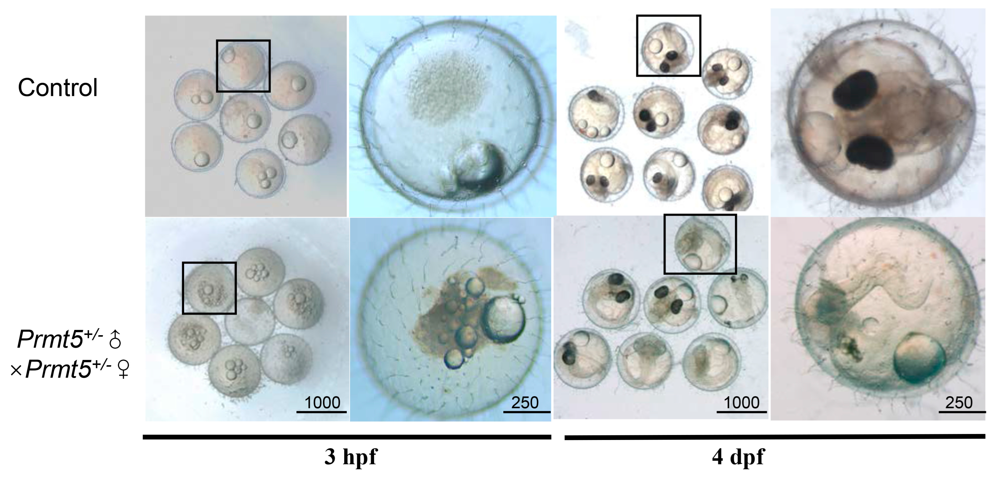Fishes 08 00019 g003