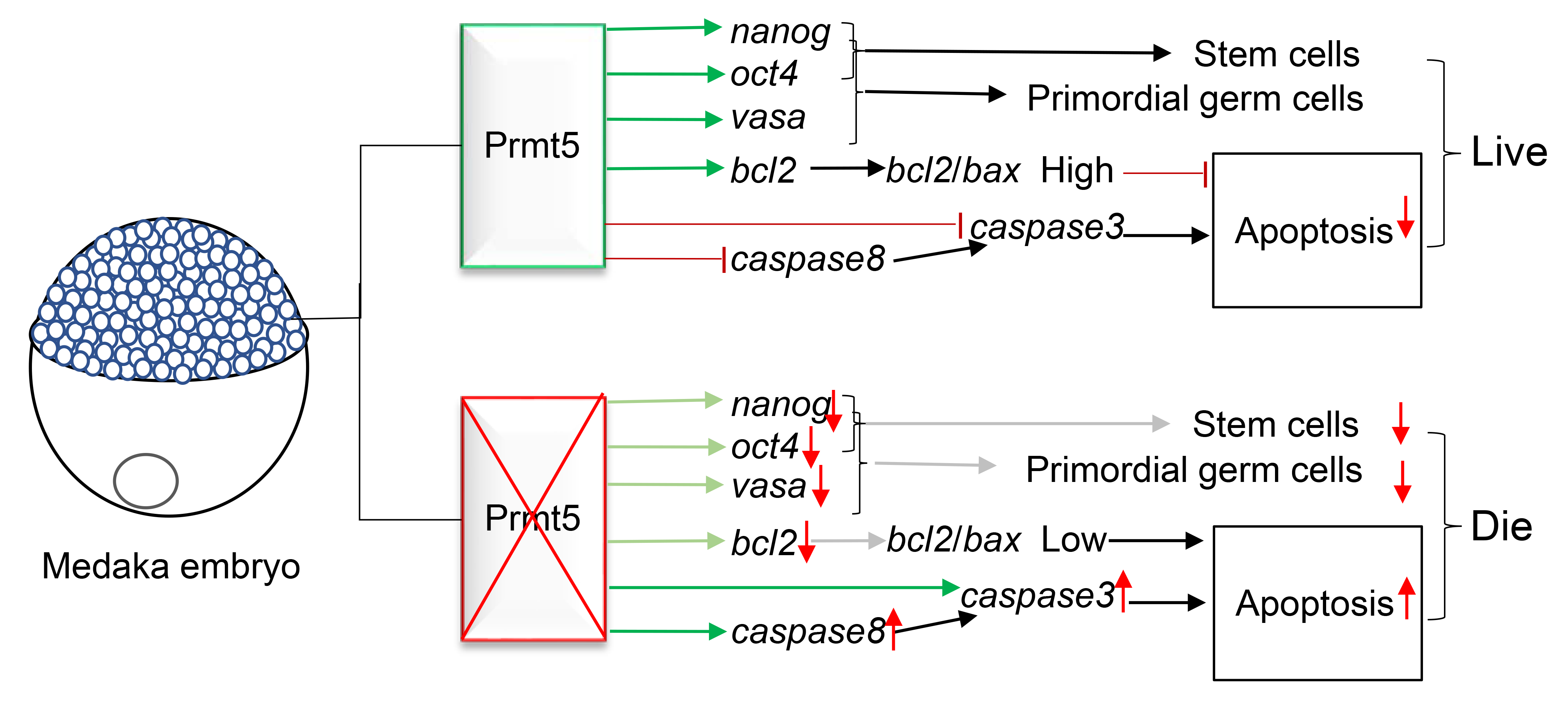 Fishes 08 00019 g006