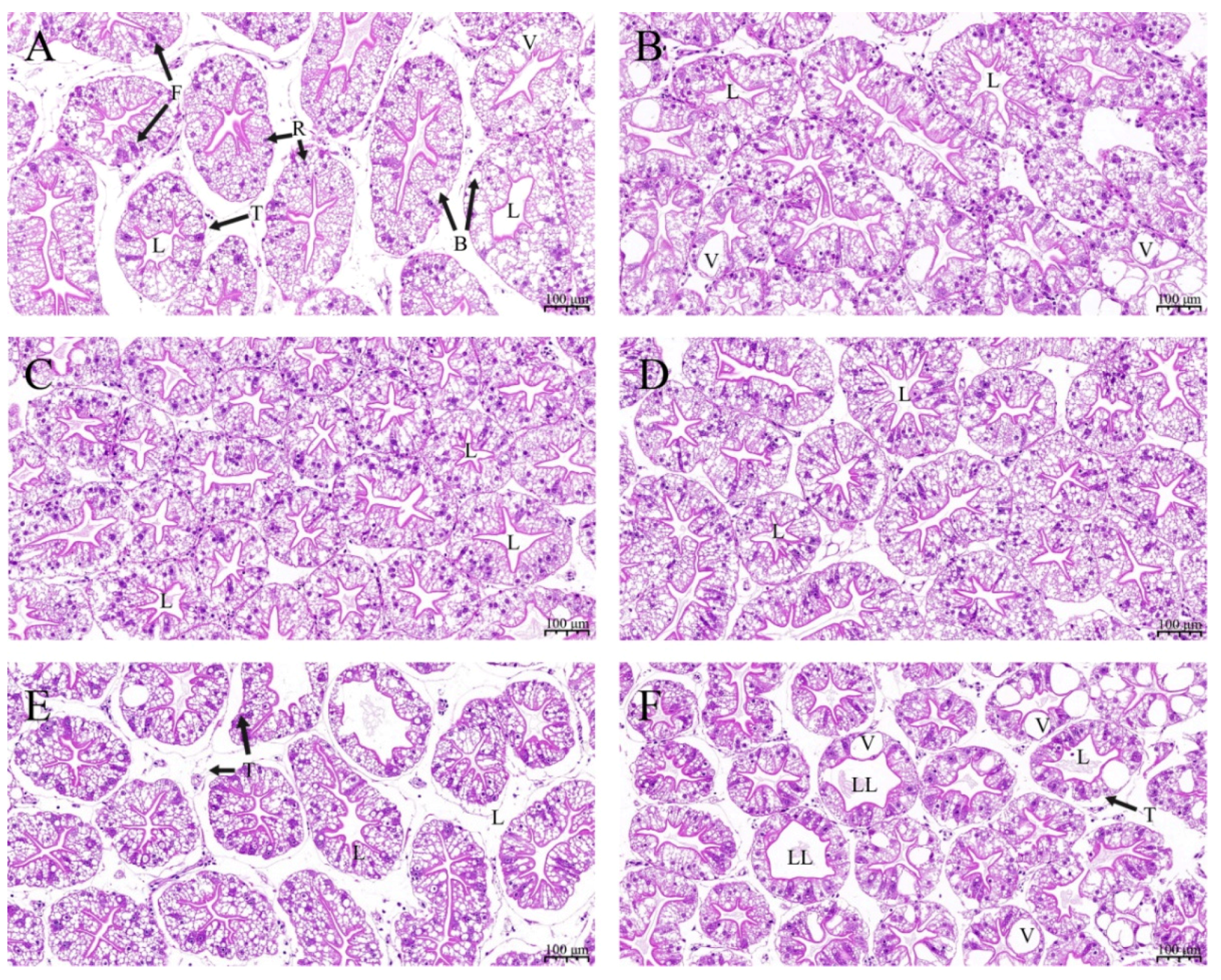 Fishes 08 00020 g001