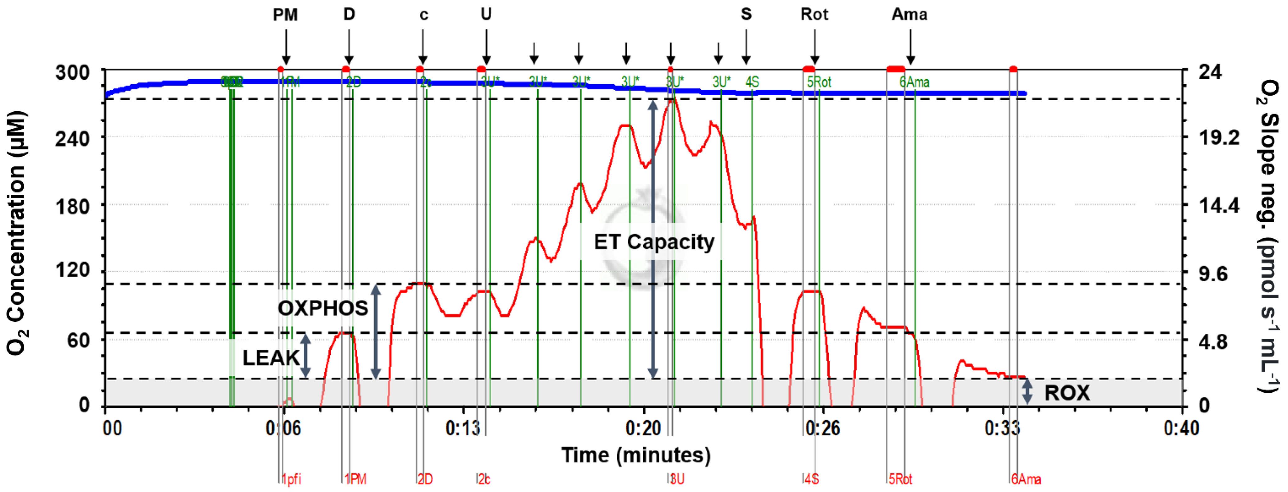 Fishes 08 00042 g001 Fishes 08 00042 g001