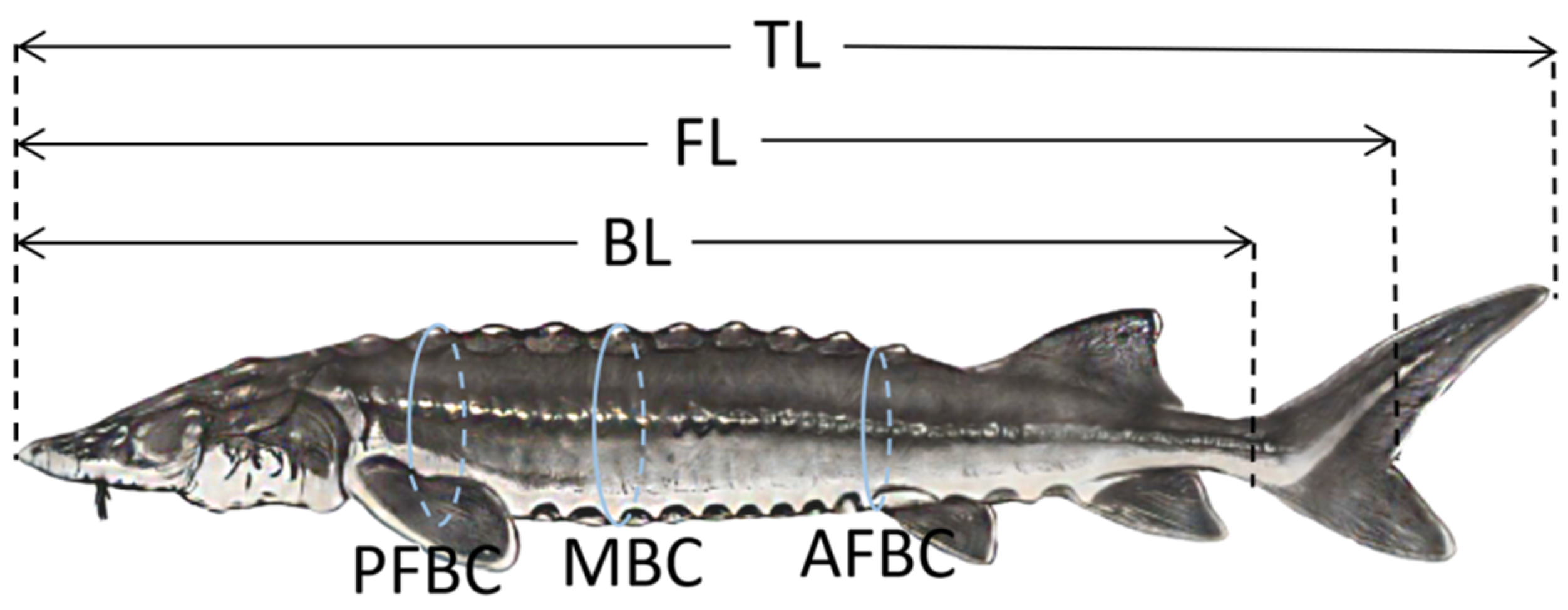 Fishes 08 00045 g001