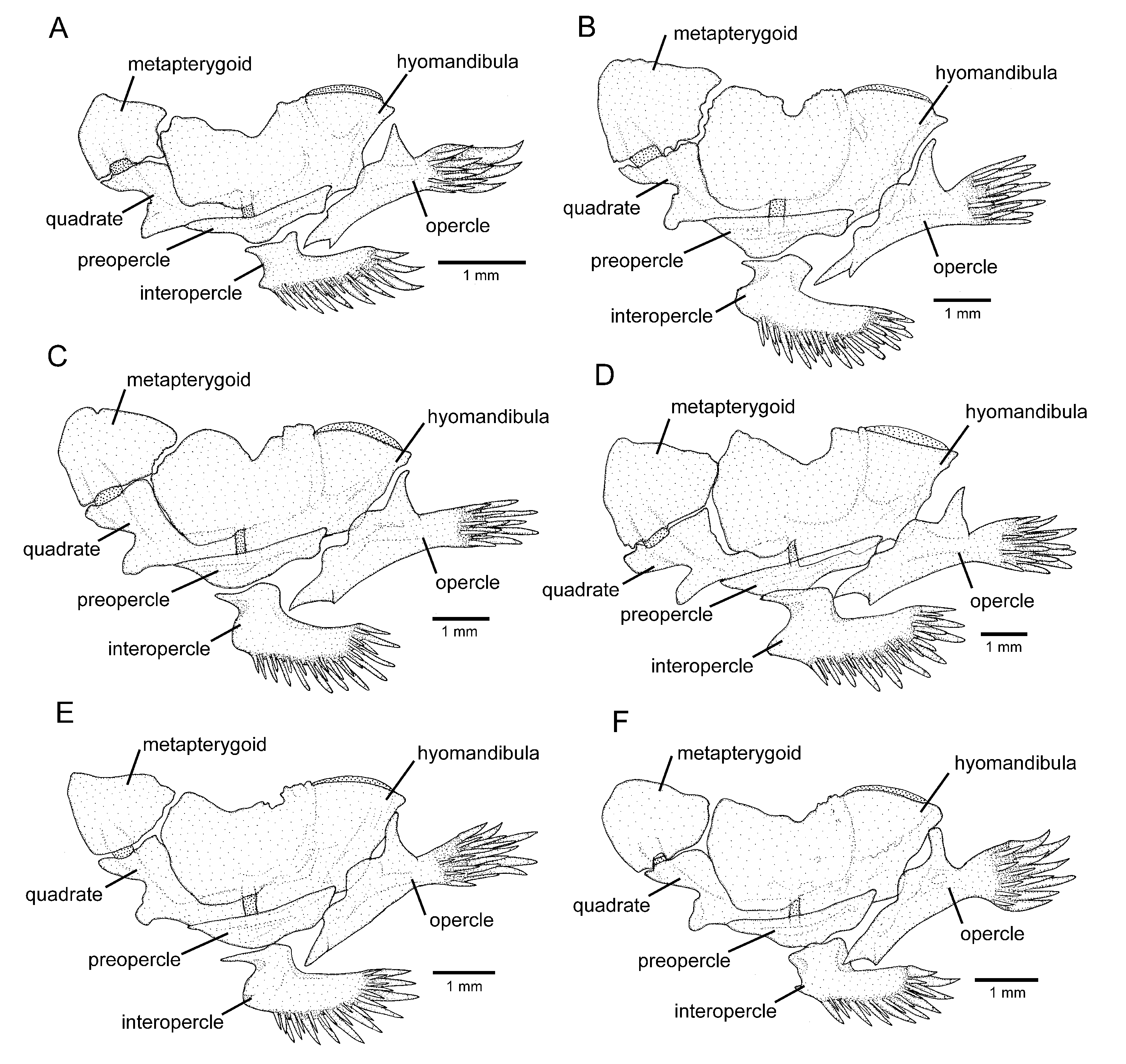 Fishes 08 00063 g008
