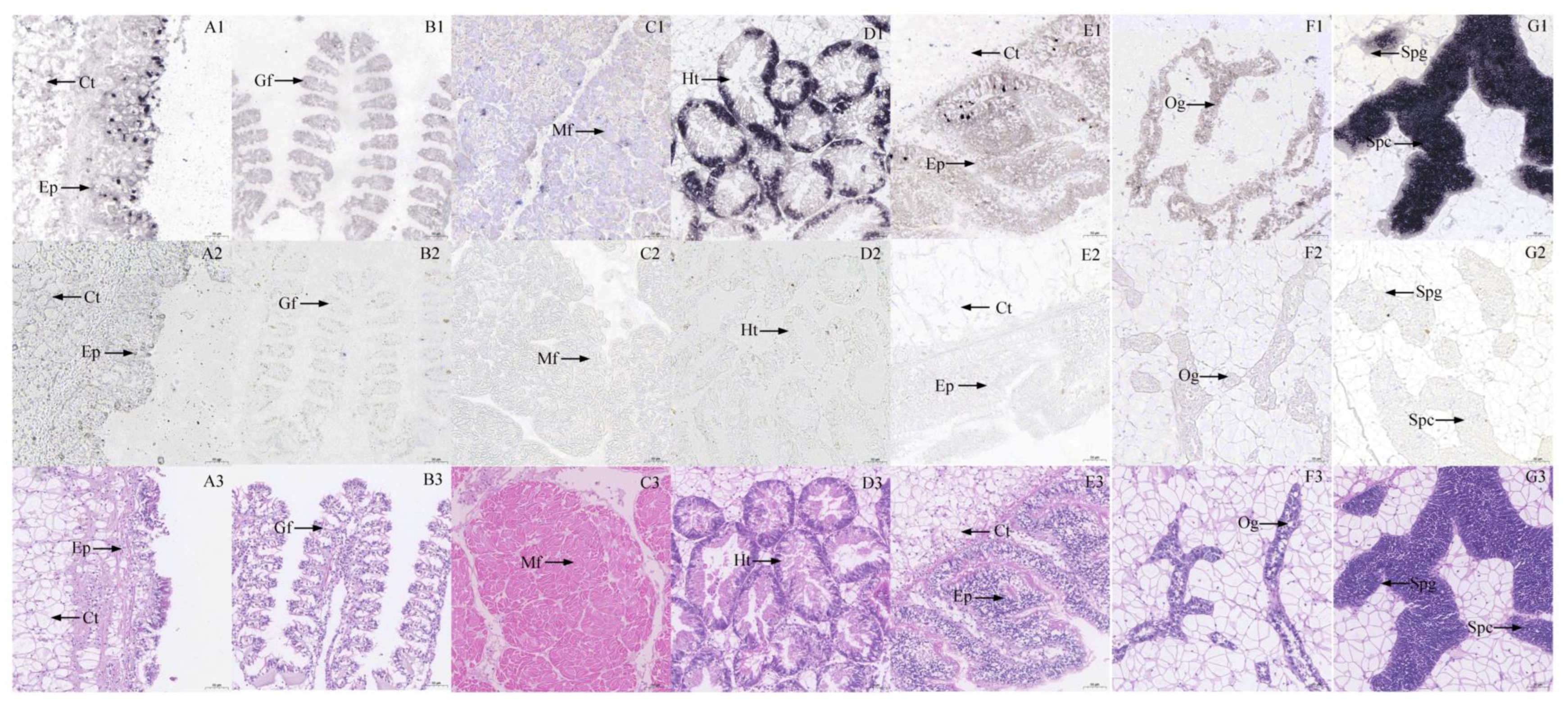 Fishes 08 00065 g002