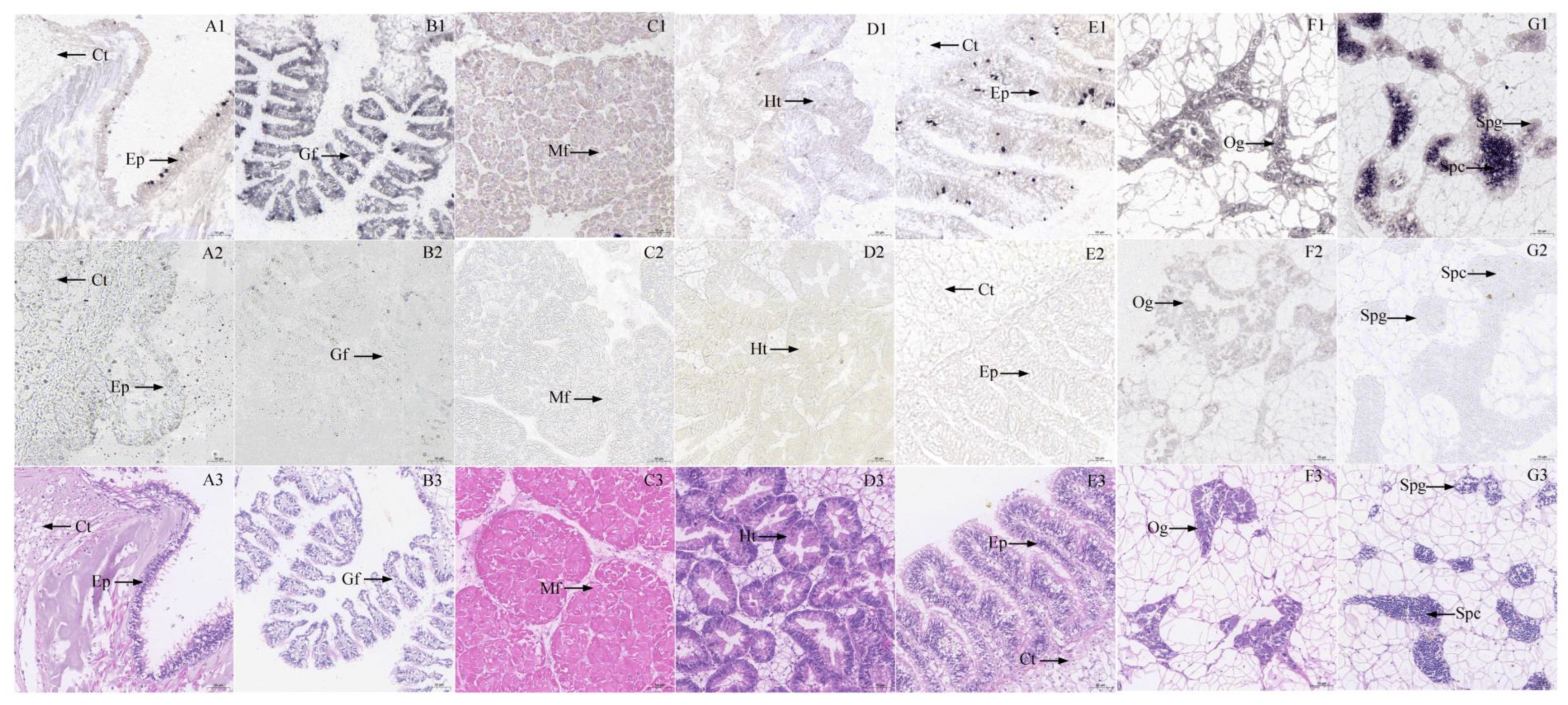 Fishes 08 00065 g003