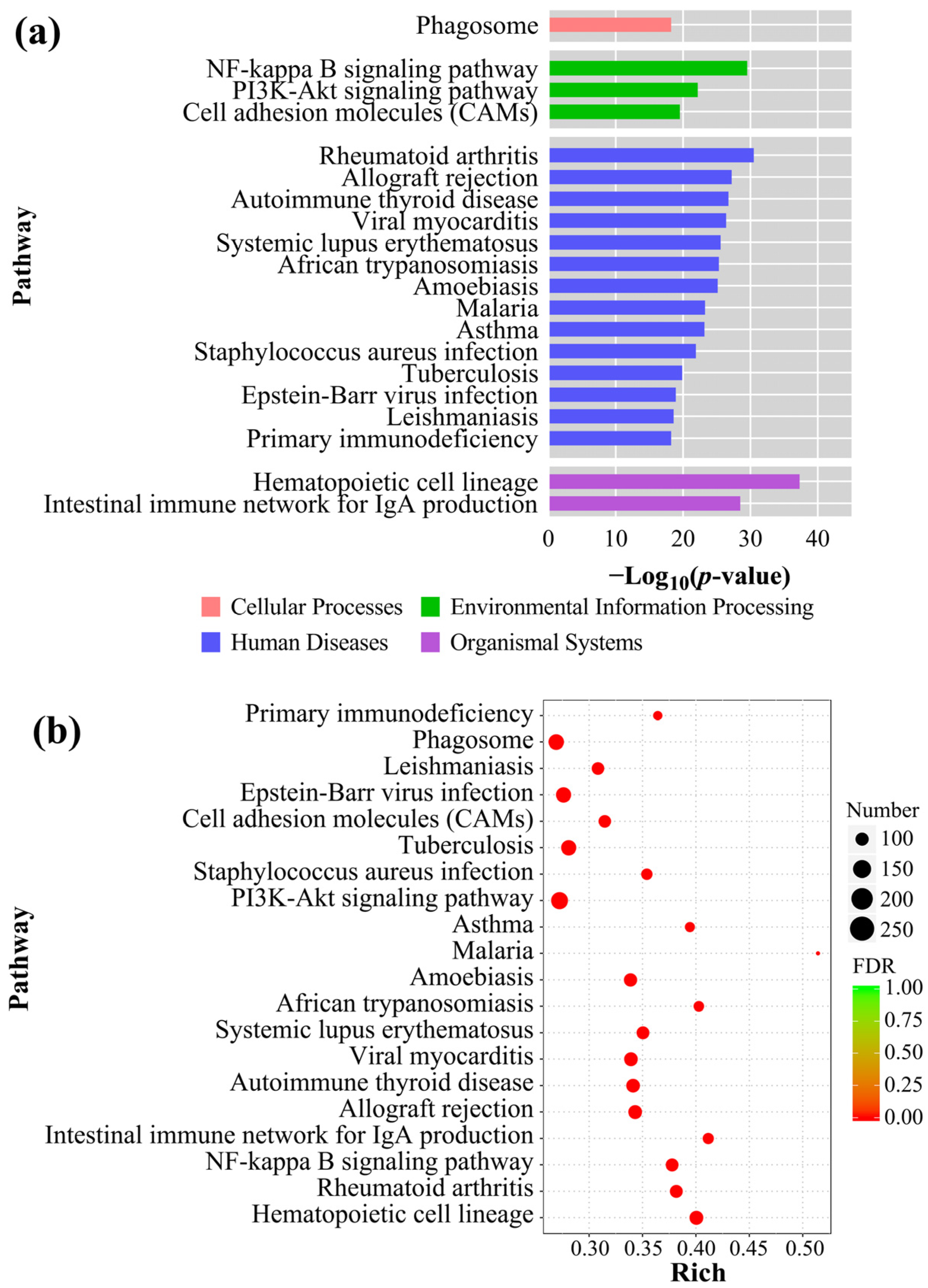 Fishes 08 00084 g007