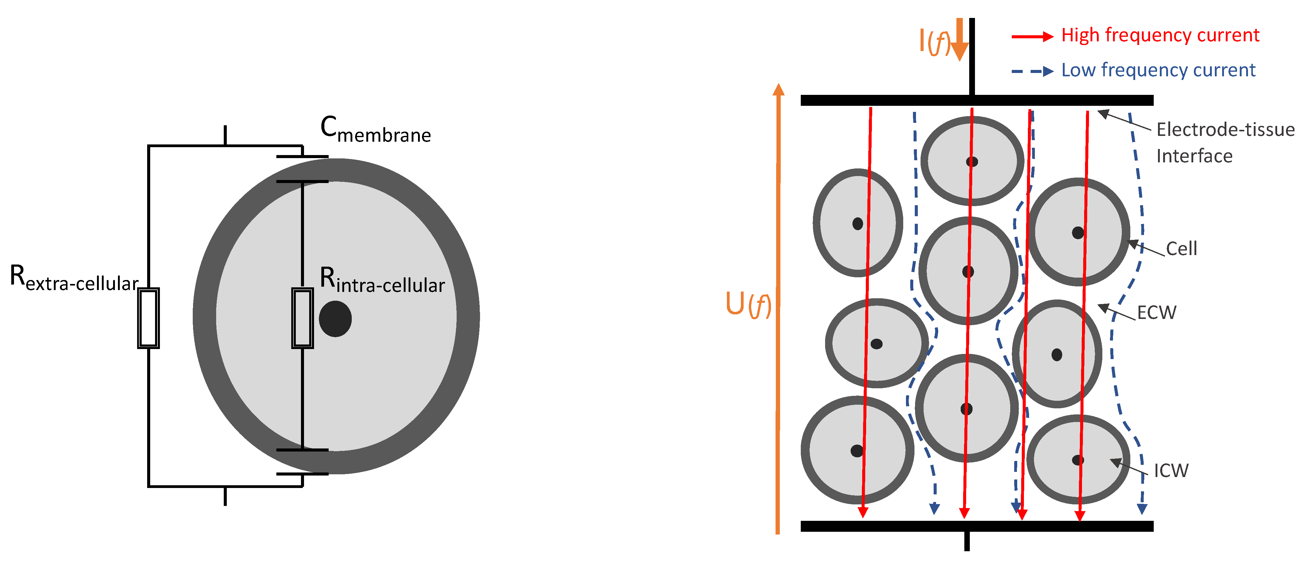 Fishes 08 00088 g001