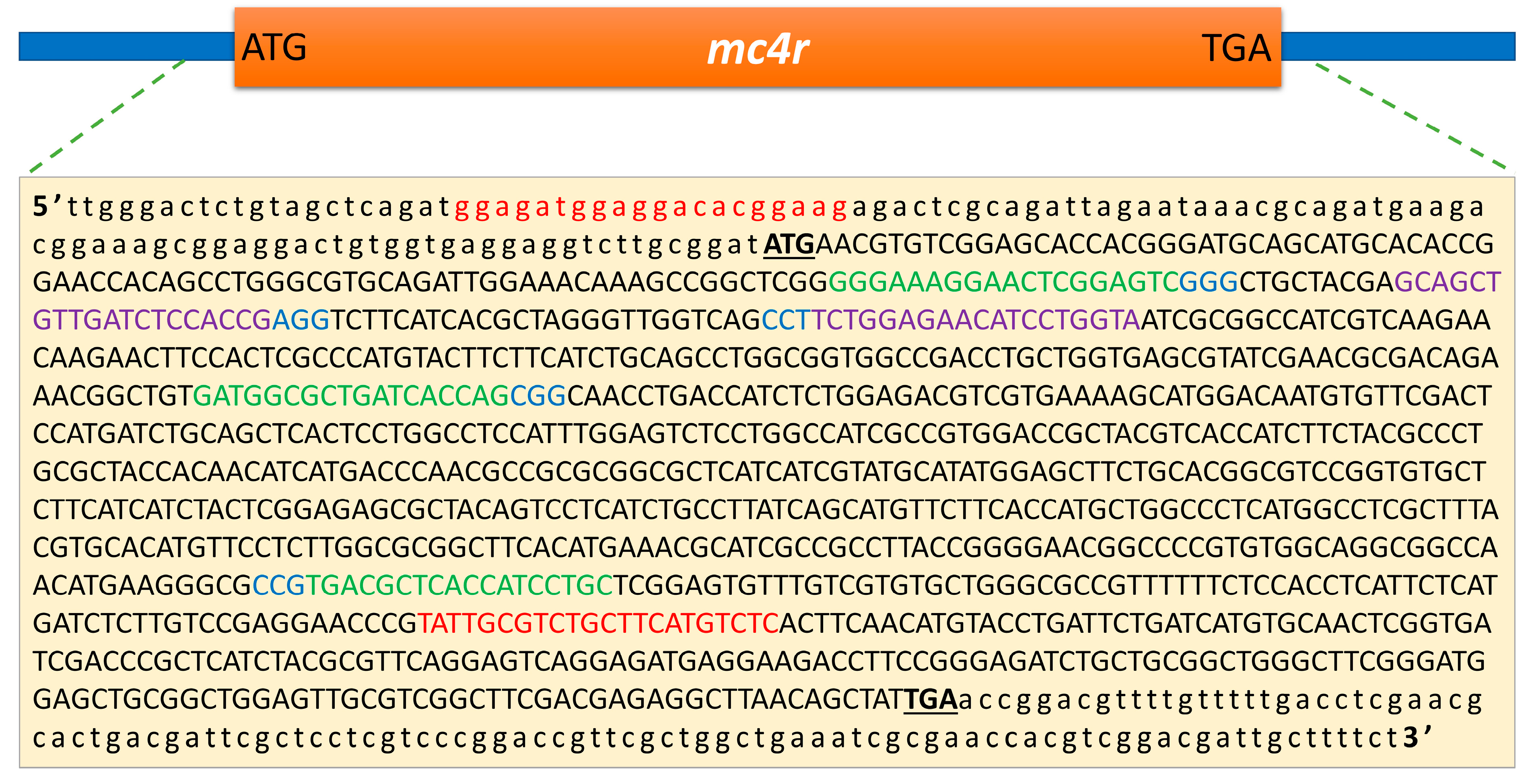 Fishes 08 00116 g001