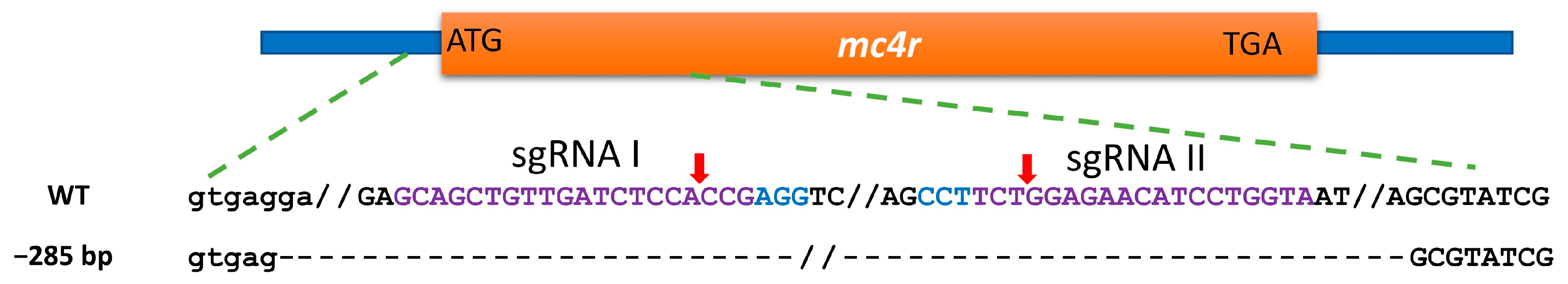 Fishes 08 00116 g003