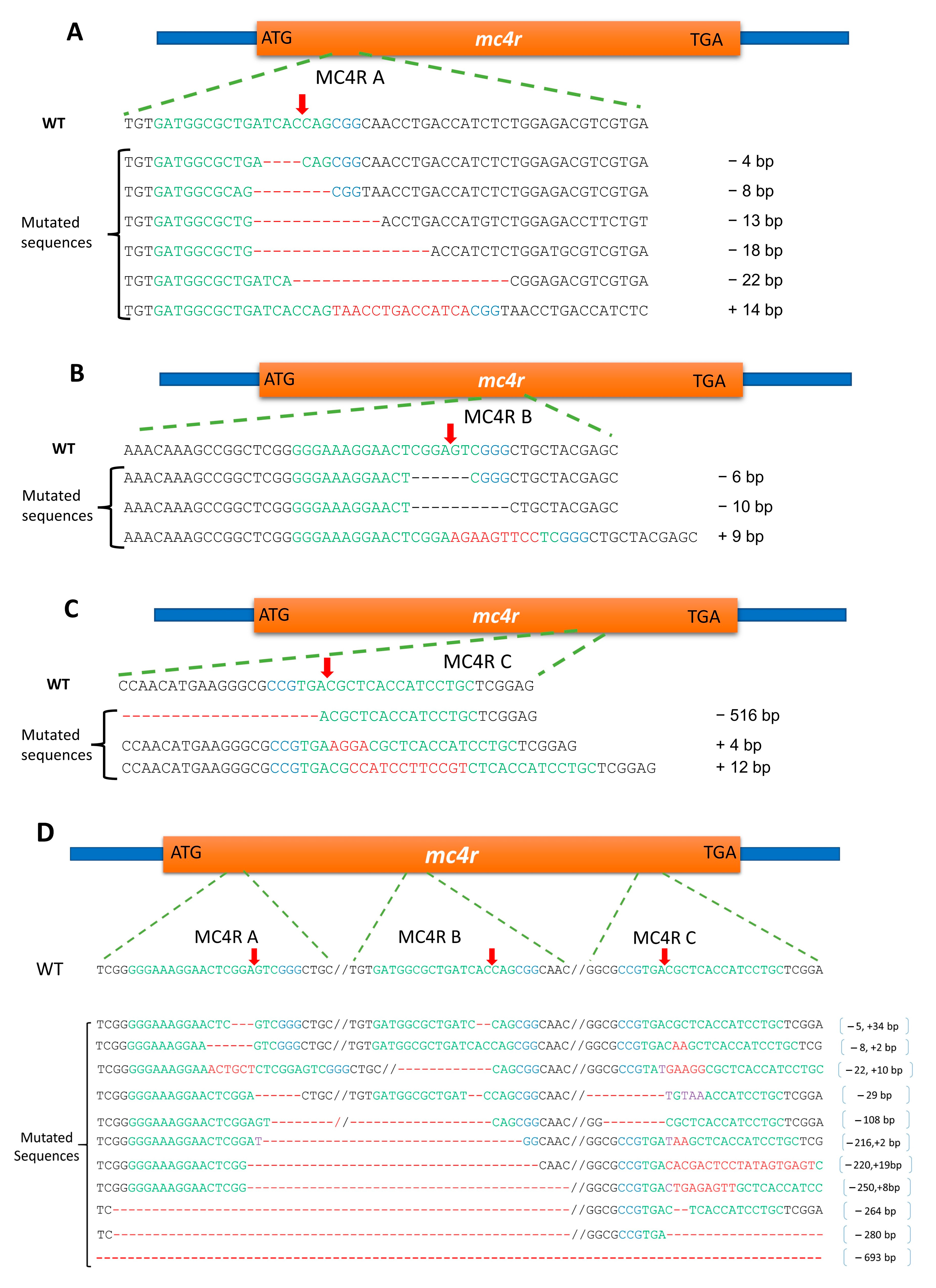 Fishes 08 00116 g006
