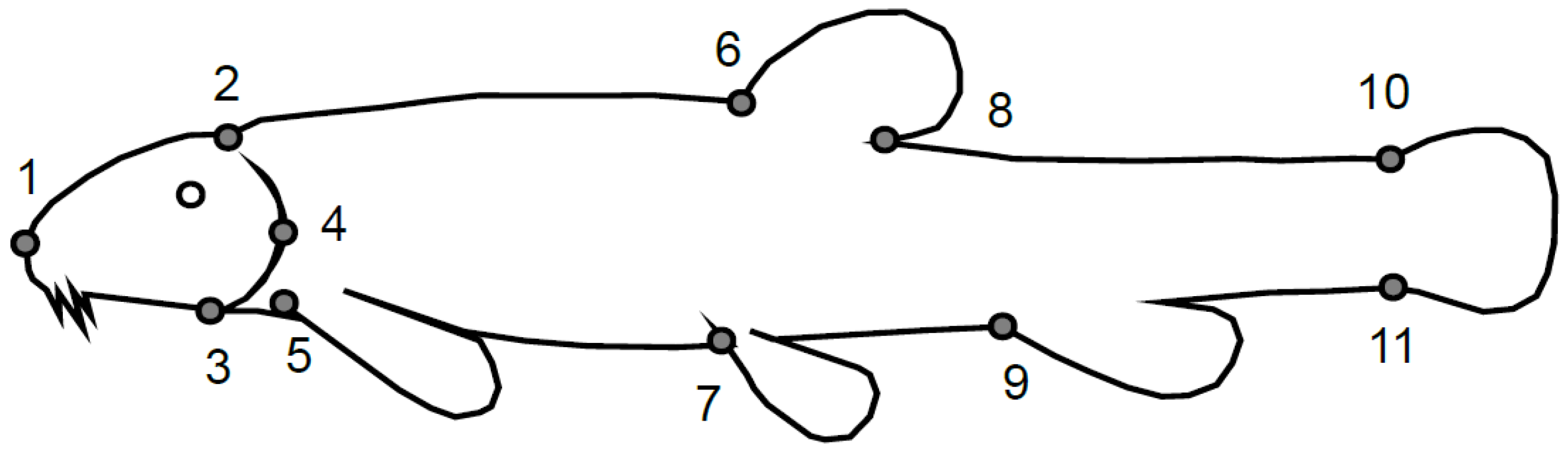 Fishes 08 00119 g002