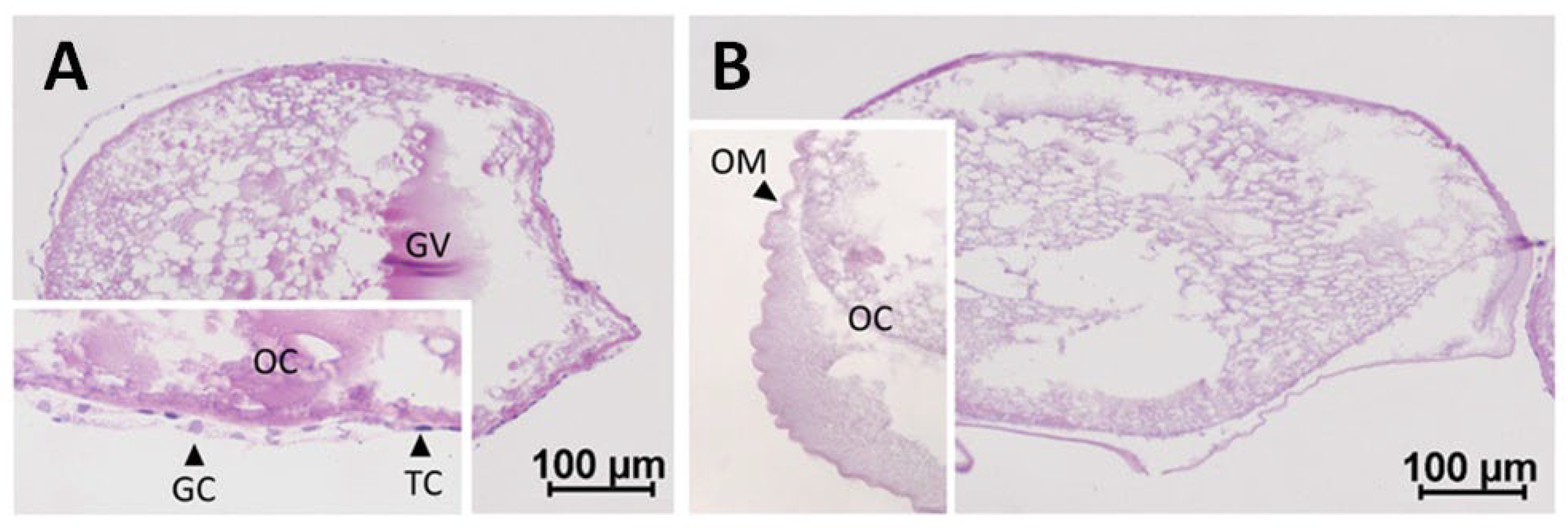 Fishes 08 00123 g002