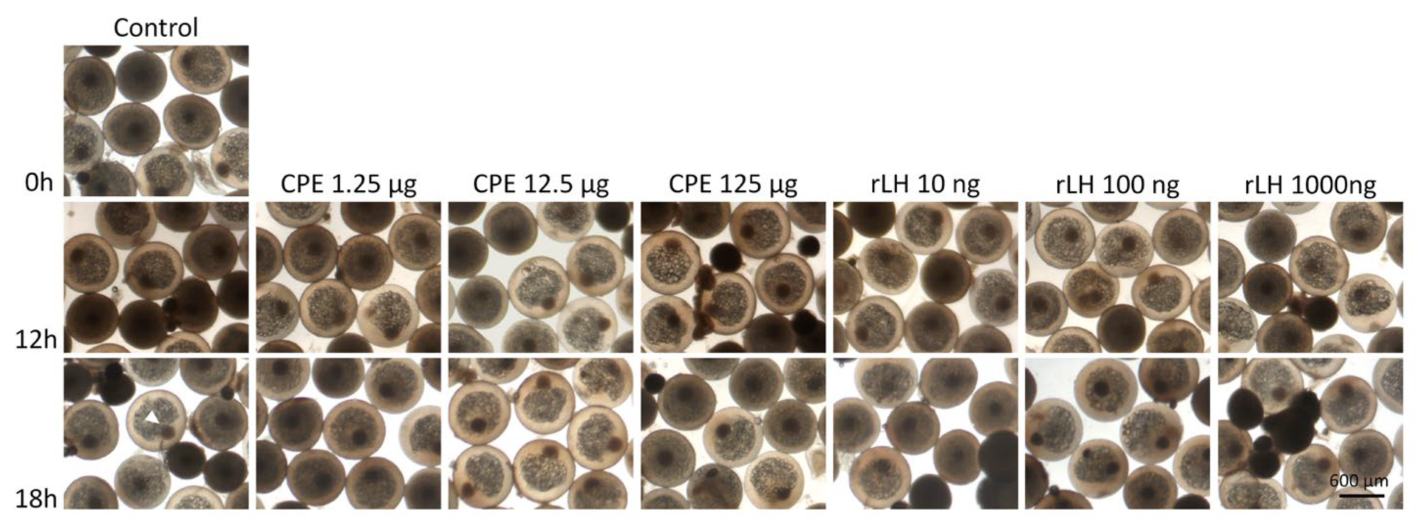 Fishes 08 00123 g003