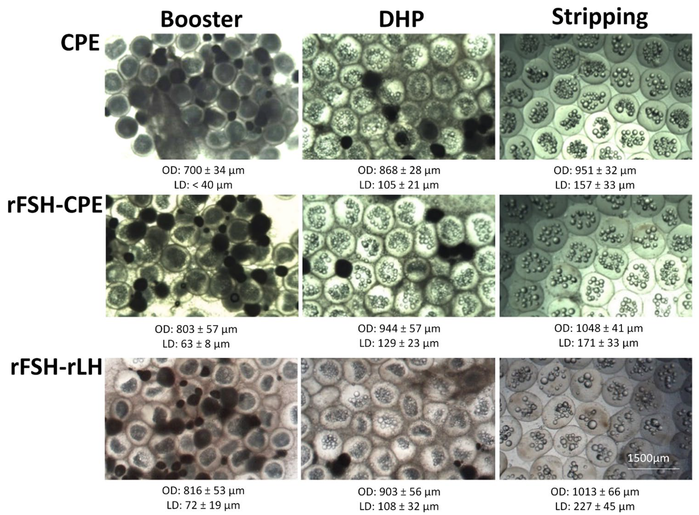 Fishes 08 00123 g007