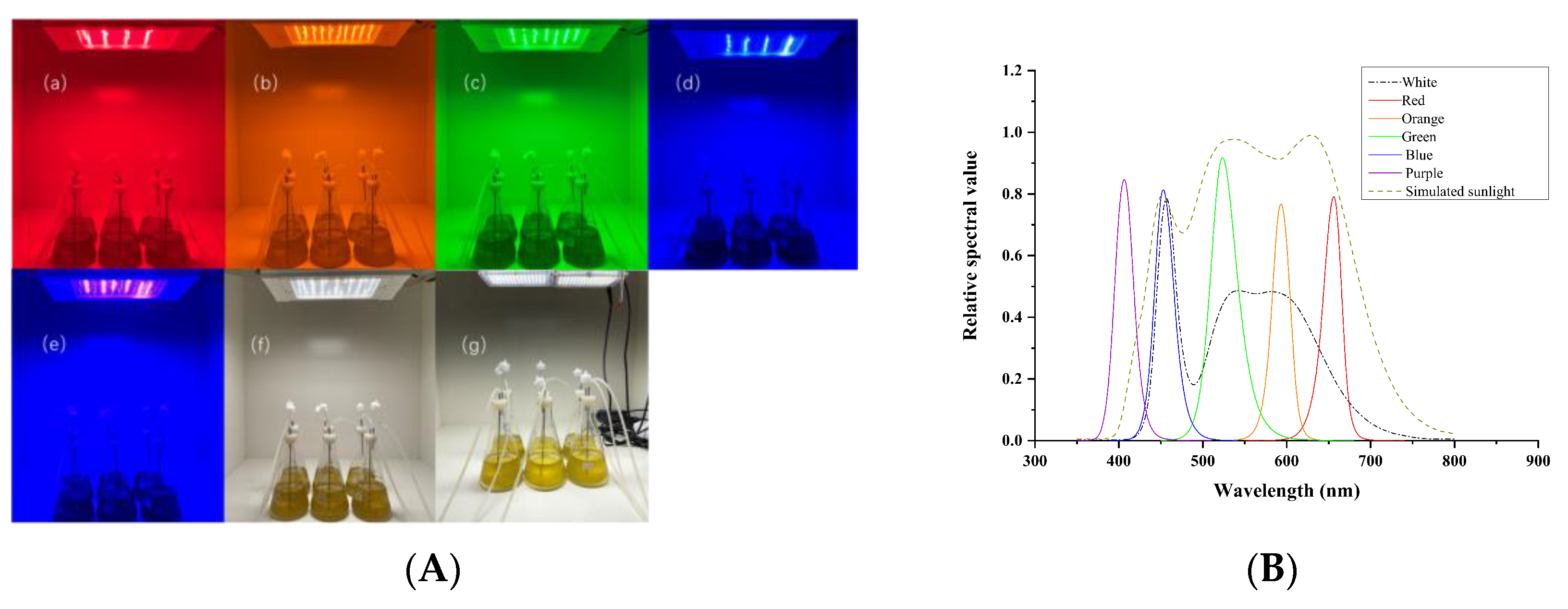 Fishes 08 00124 g001 Fishes 08 00124 g001