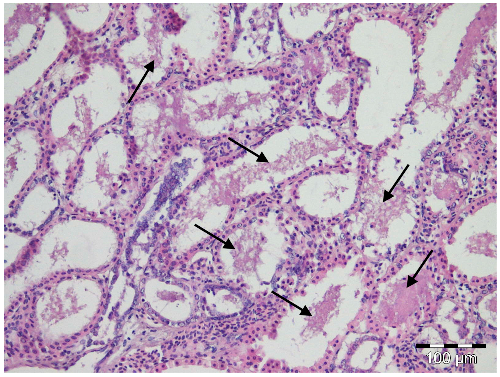 Fishes 08 00128 g002