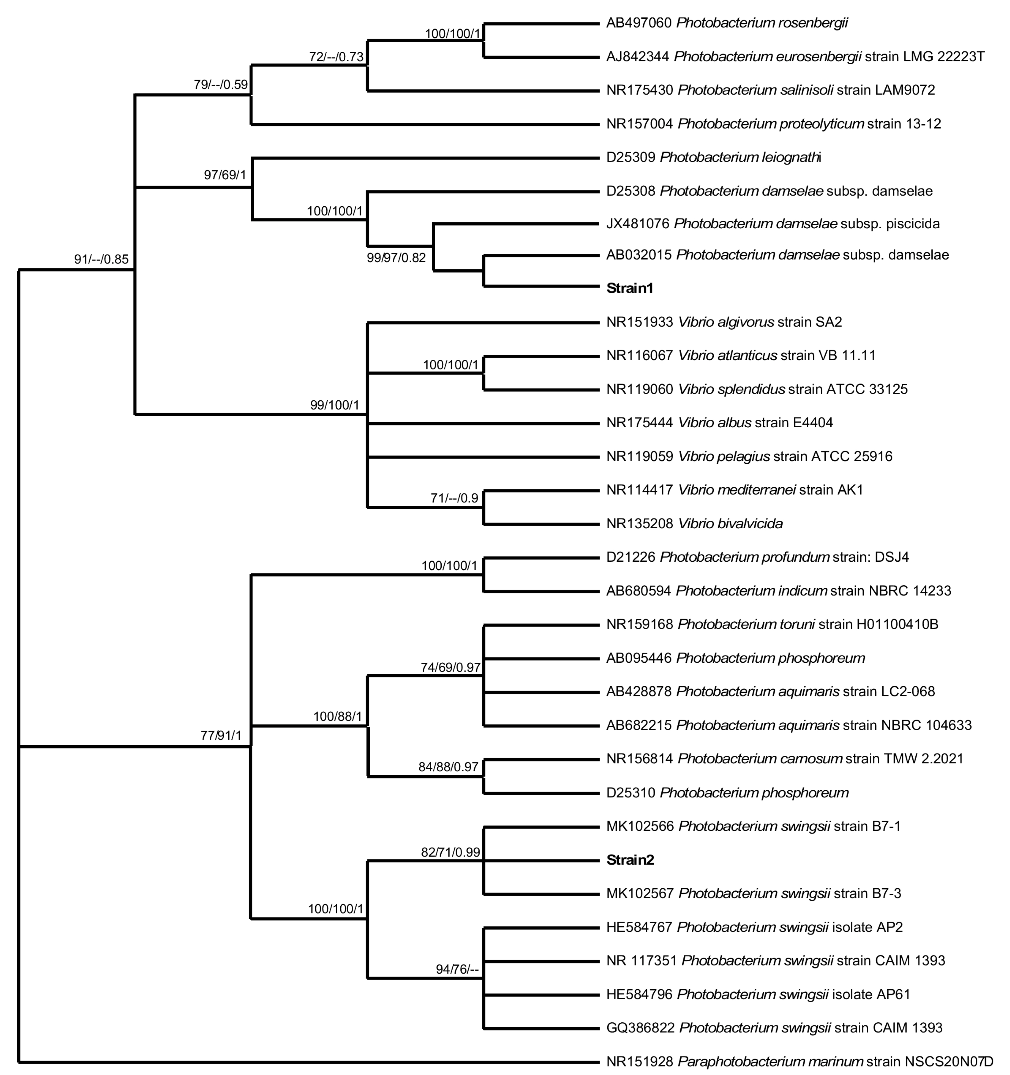 Fishes 08 00128 g003