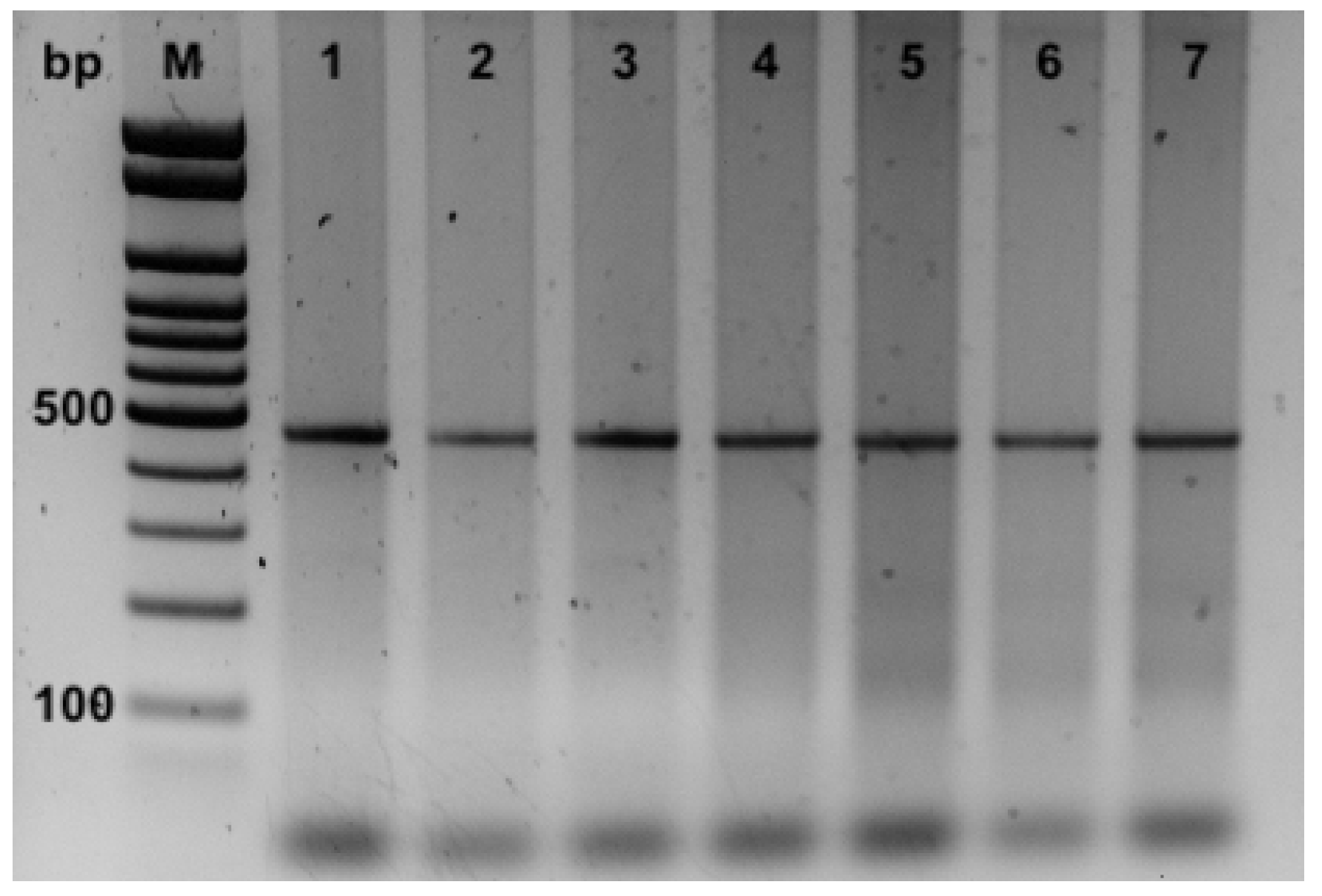 Fishes 08 00128 g004