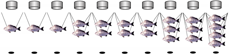 Fishes 08 00161 i001