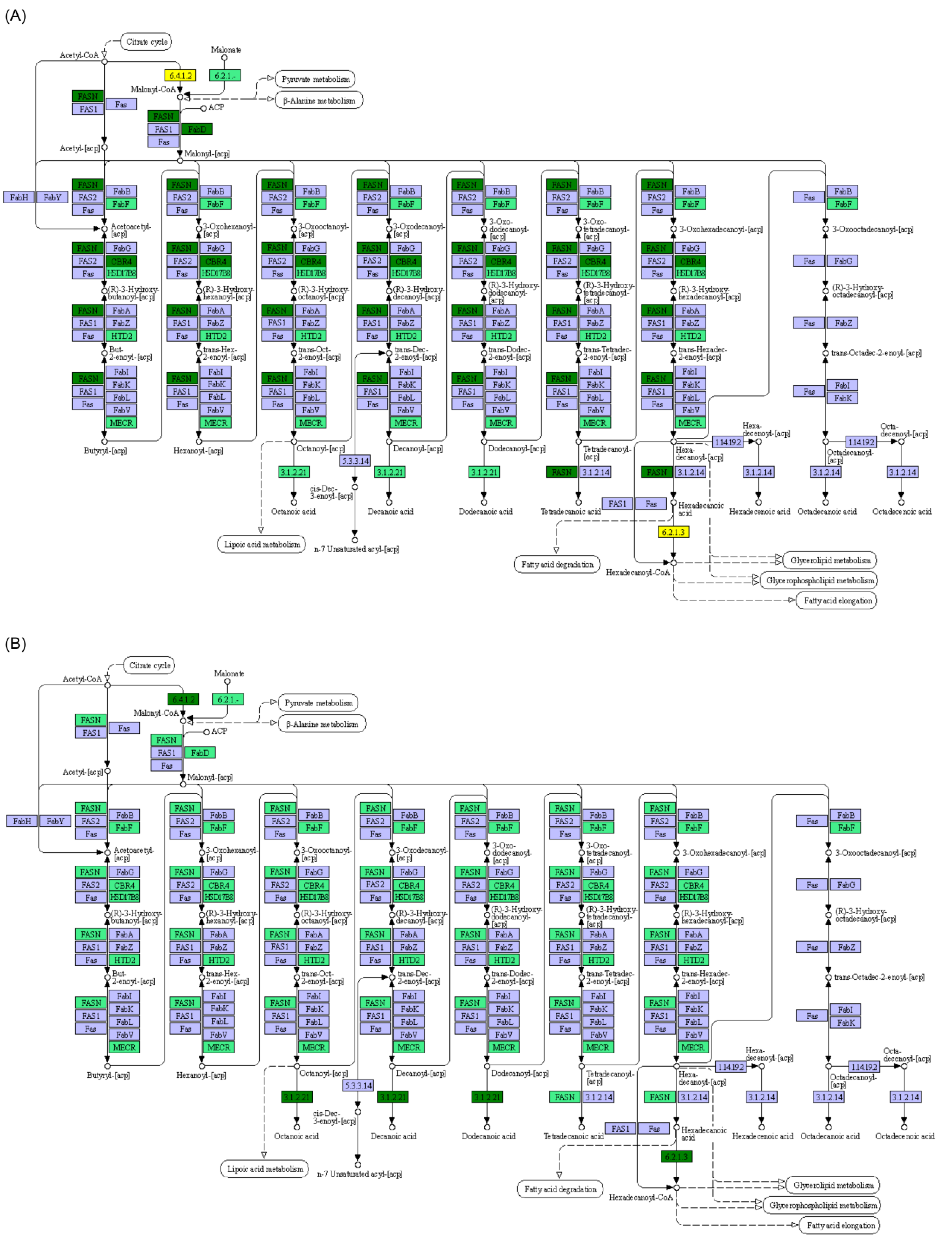 Fishes 08 00175 g008