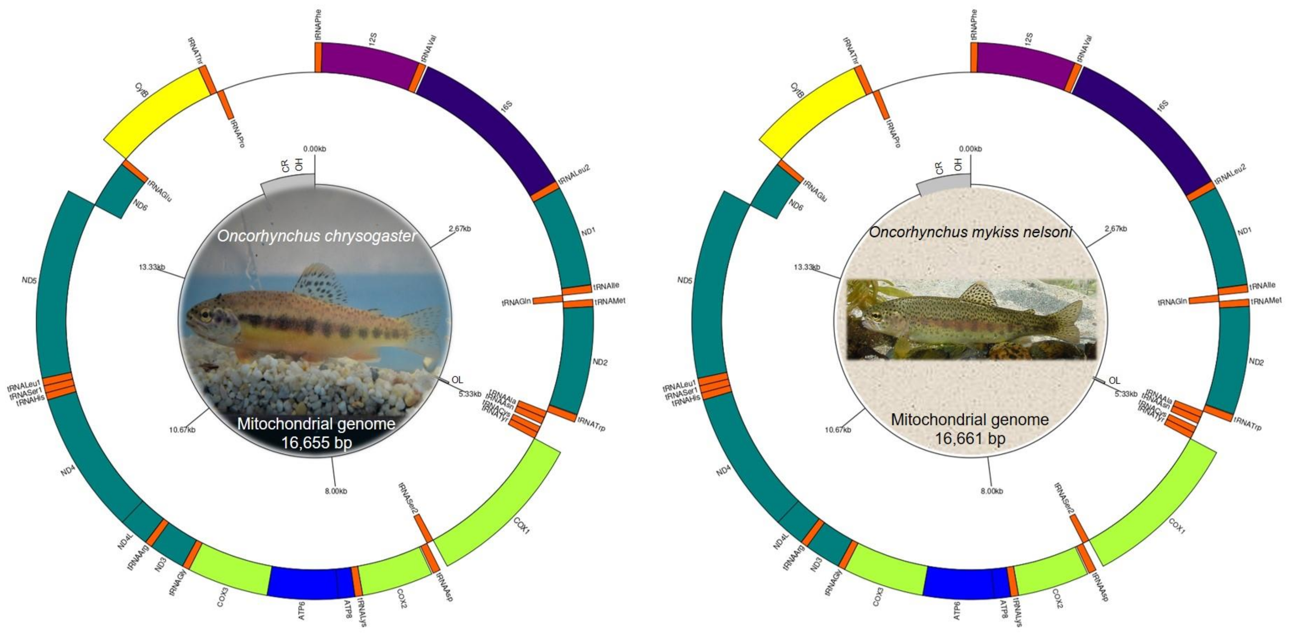 Fishes 08 00178 g001