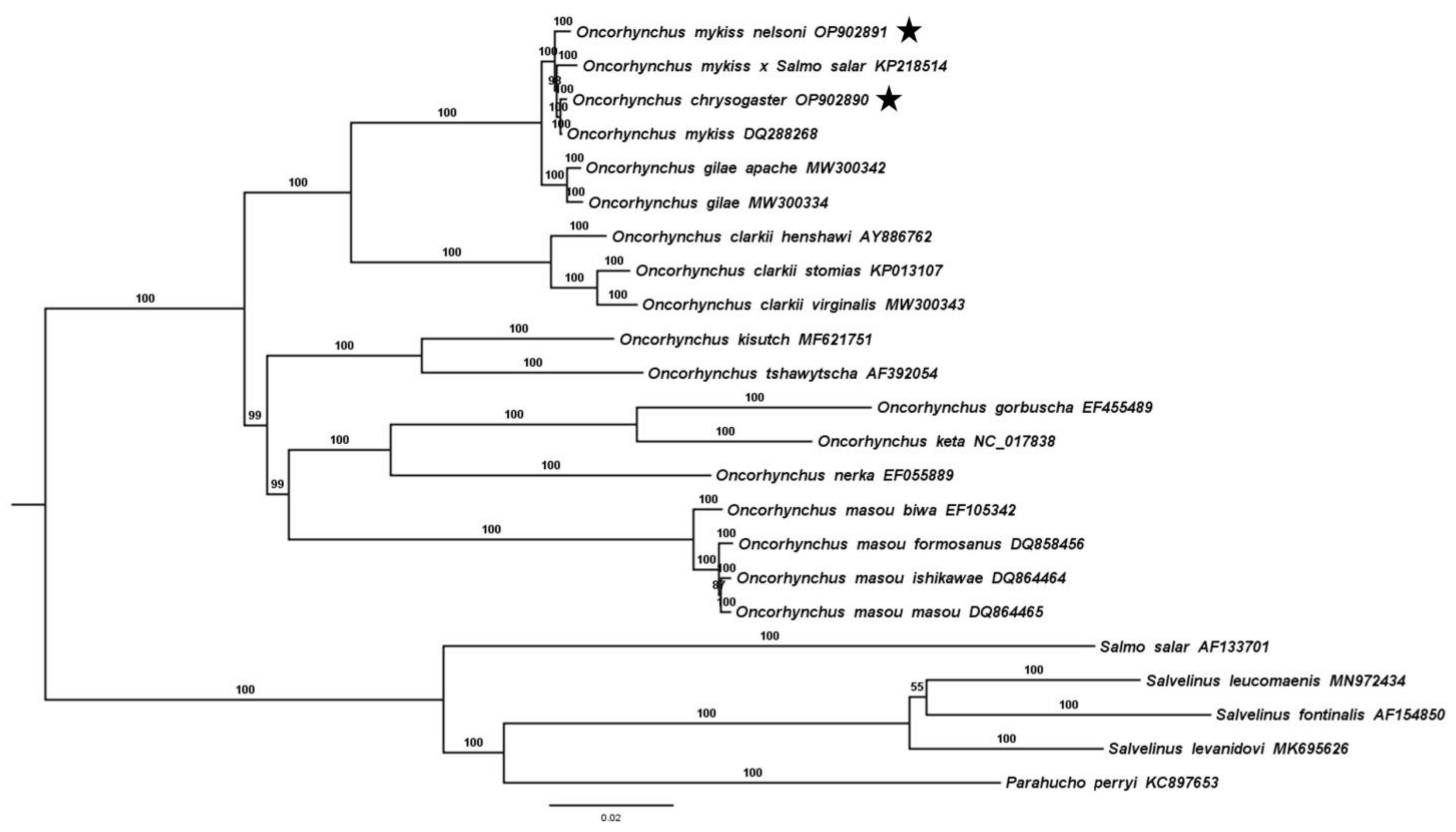 Fishes 08 00178 g005