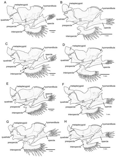 Fishes 08 00206 g006