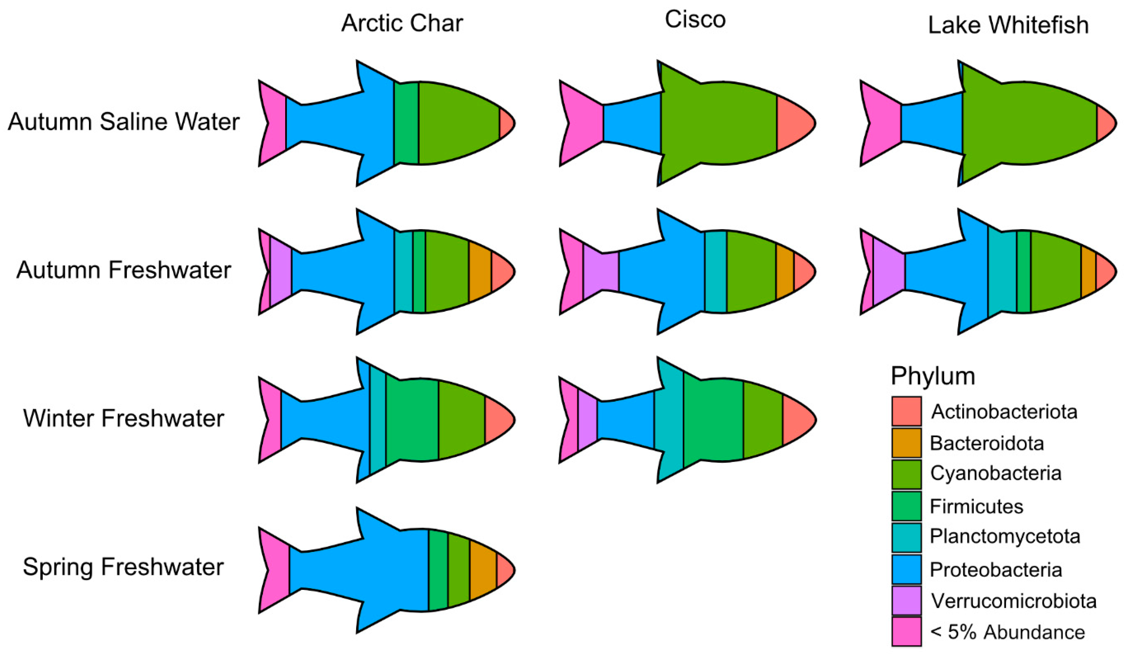 Fishes 08 00214 g005 Fishes 08 00214 g005