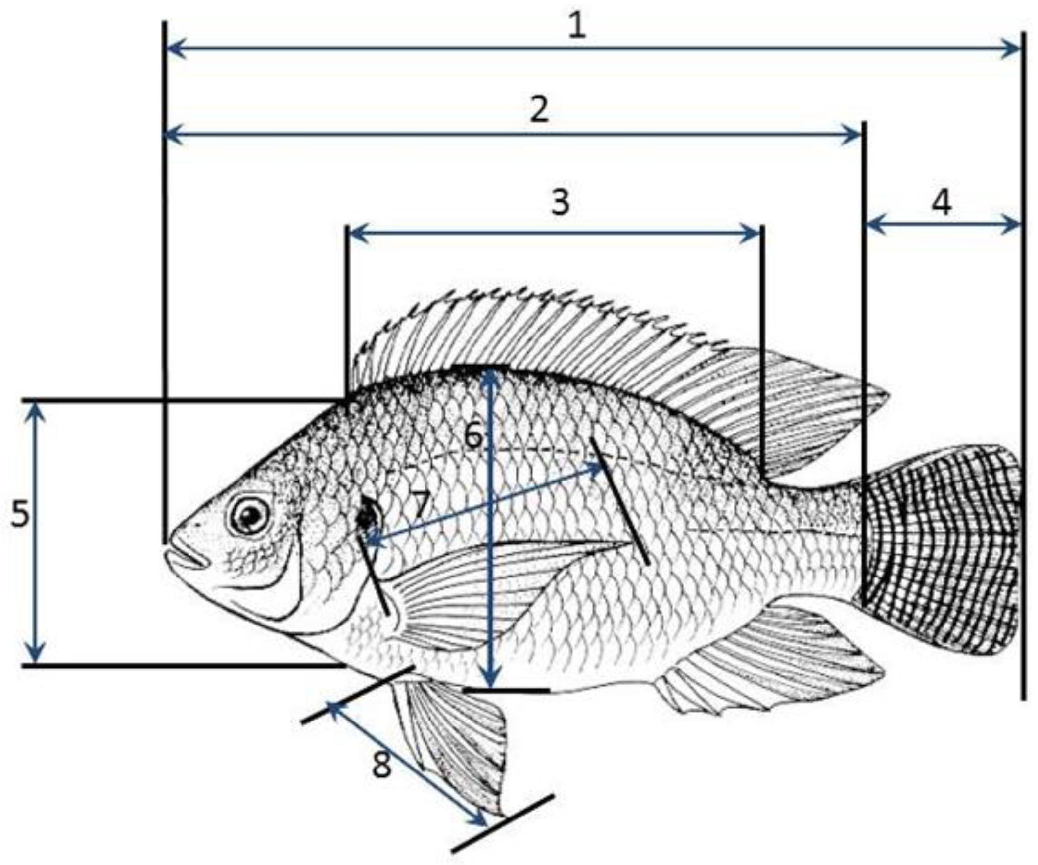 Fishes 08 00217 g002
